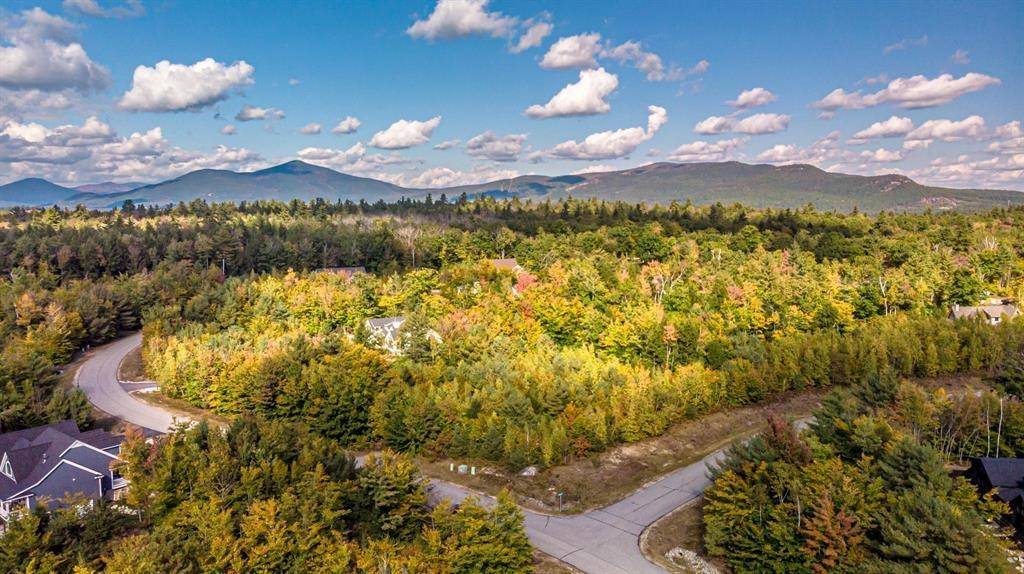 Conway, NH 03818,00 Grandview RD #Lot #98 on tree
