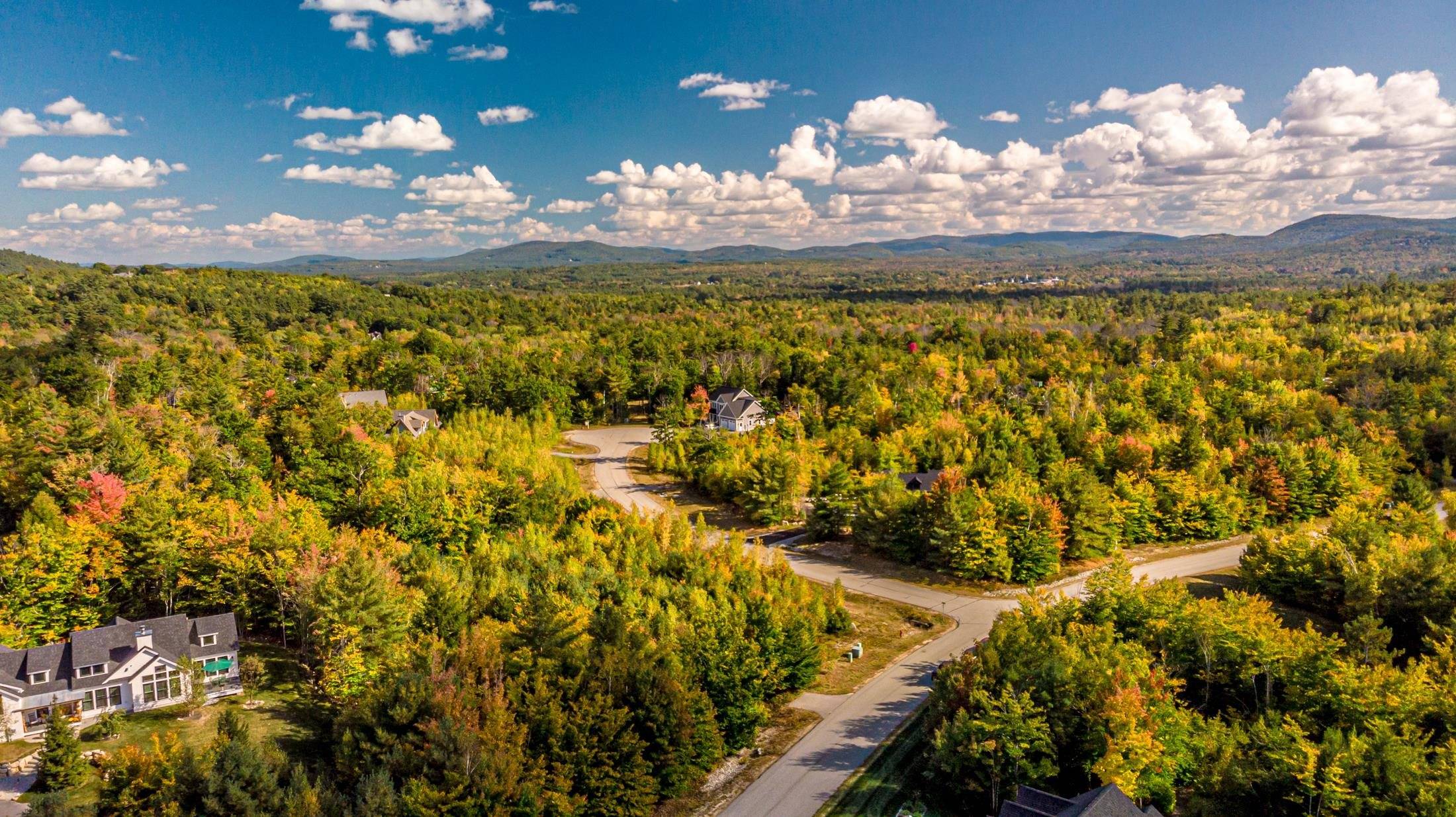 Conway, NH 03818,00 Grandview RD #Lot #98 on tree