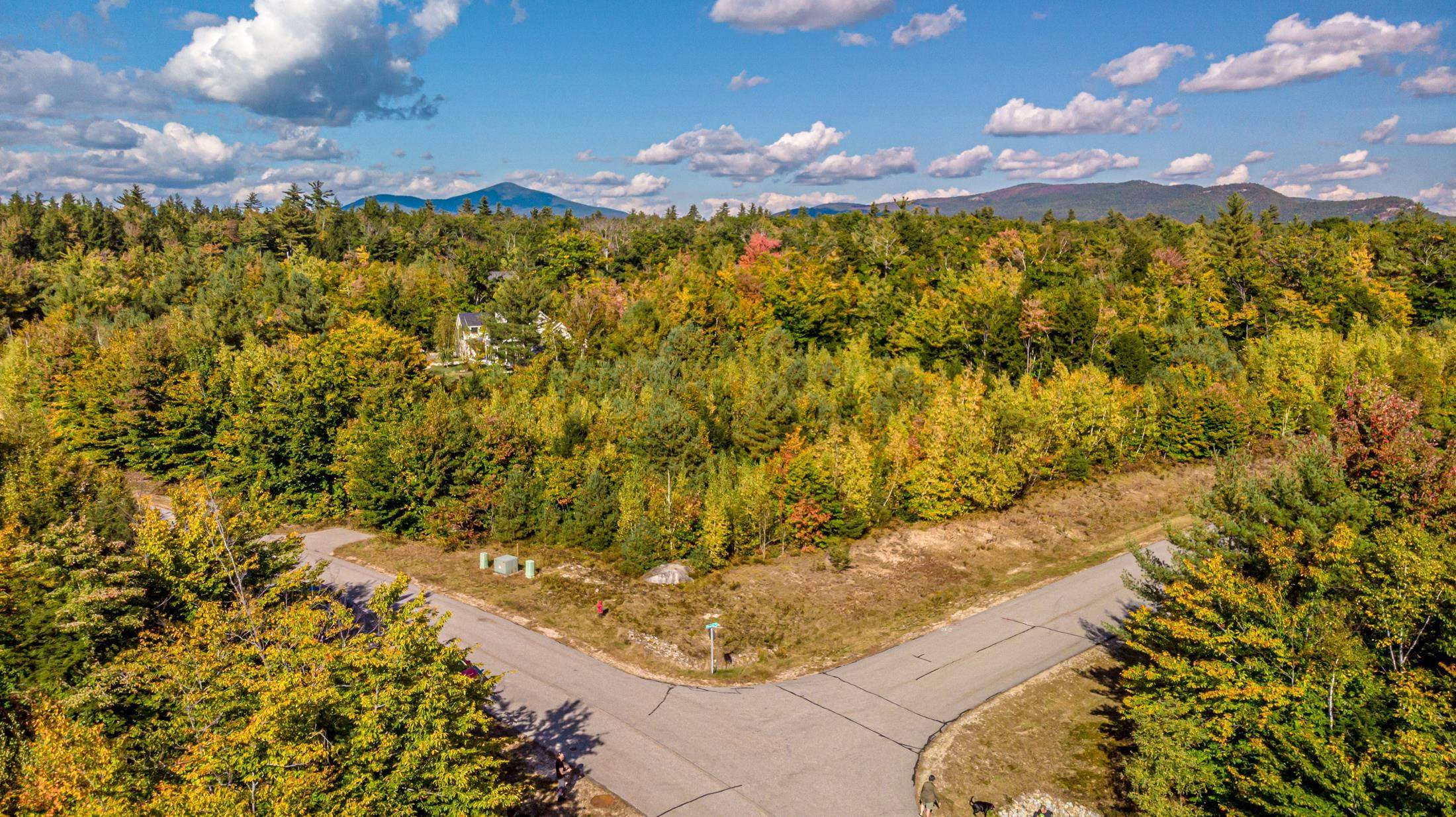 Conway, NH 03818,00 Grandview RD #Lot #98 on tree