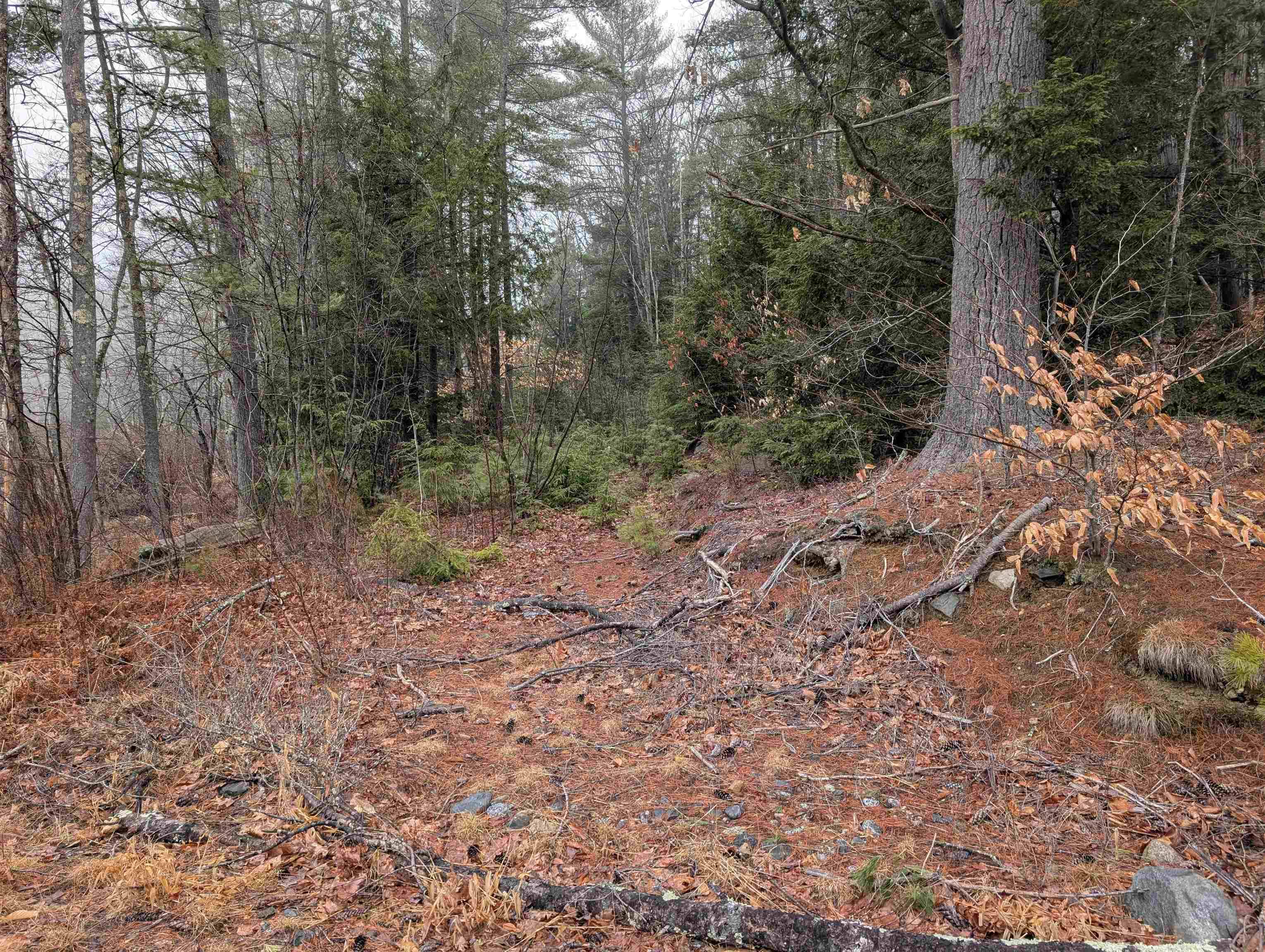 Francestown, NH 03043,005-003 Greenfield RD