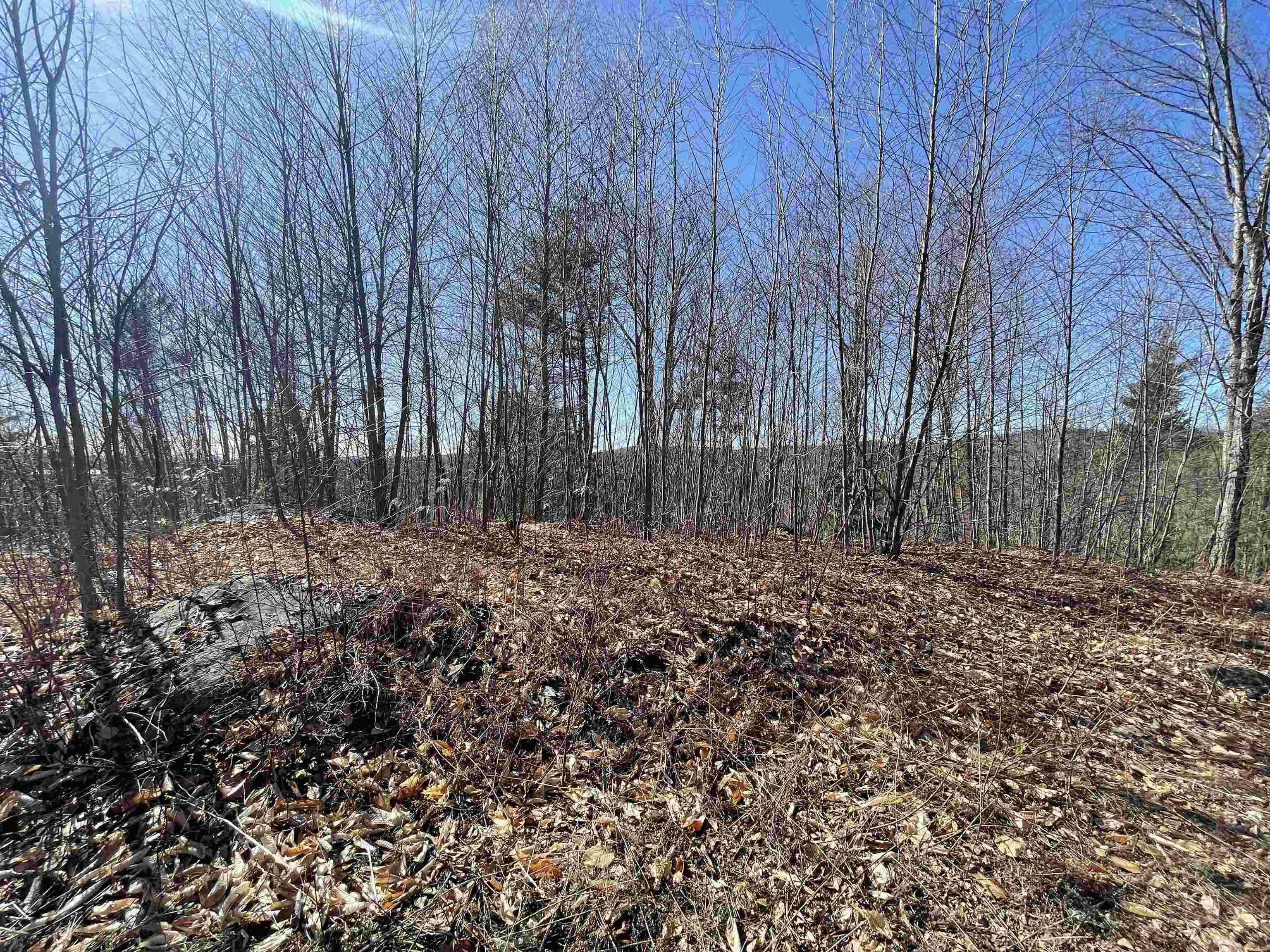 Francestown, NH 03043,63 New Boston RD
