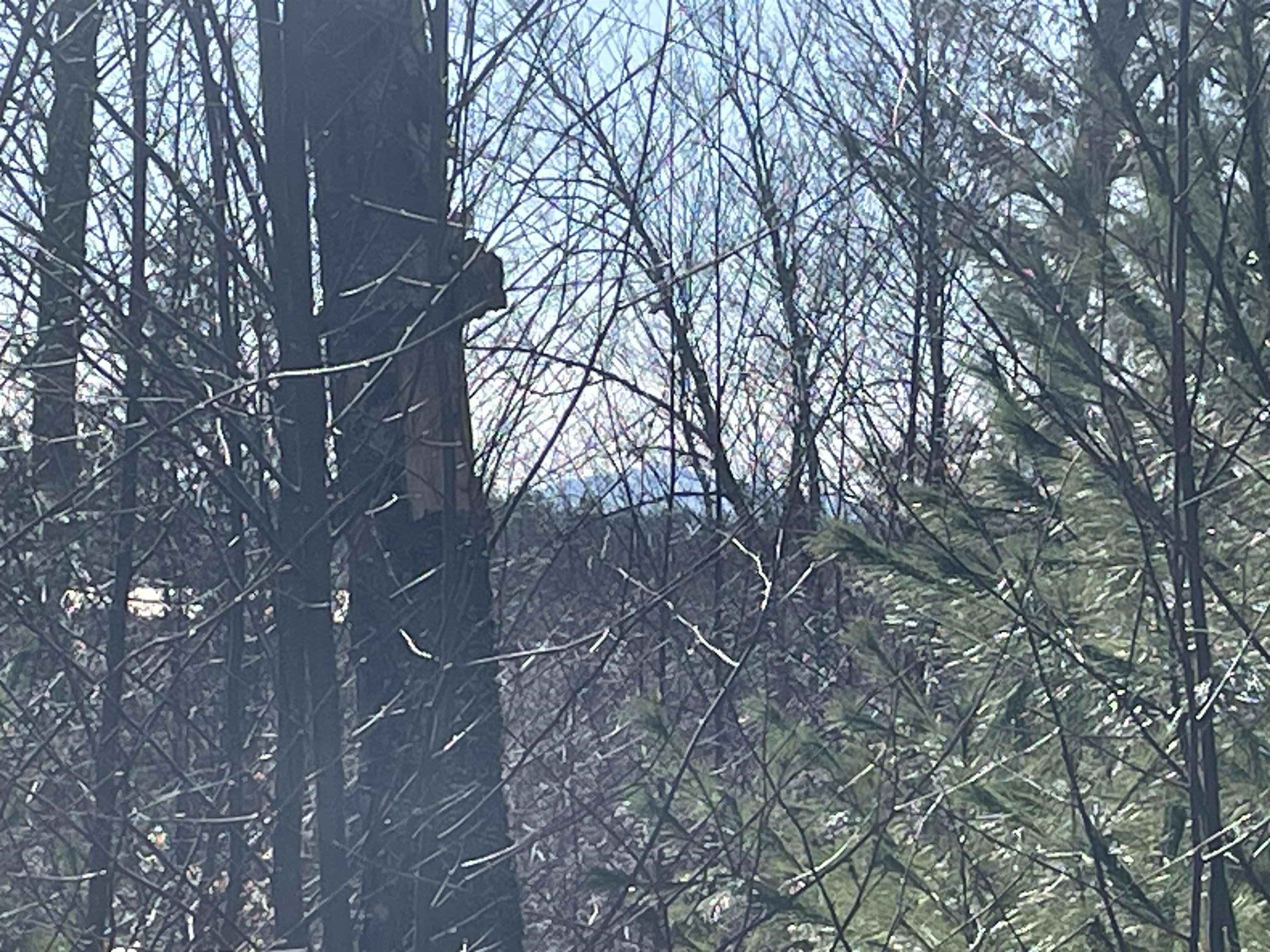63 New Boston RD Francestown, NH 03043