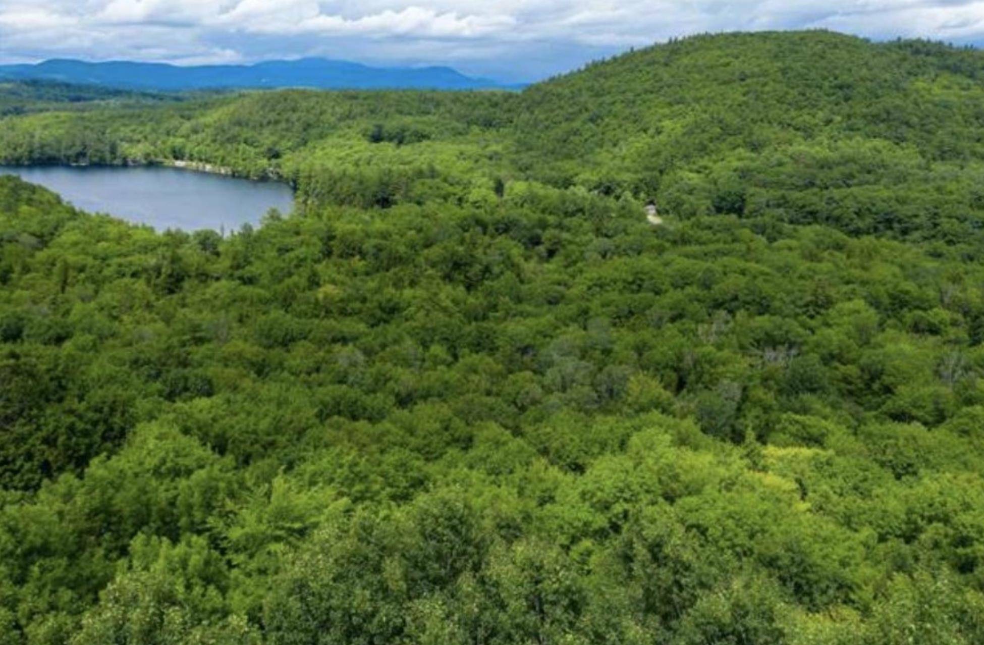 New Hampton, NH 03256,9 Mast LN