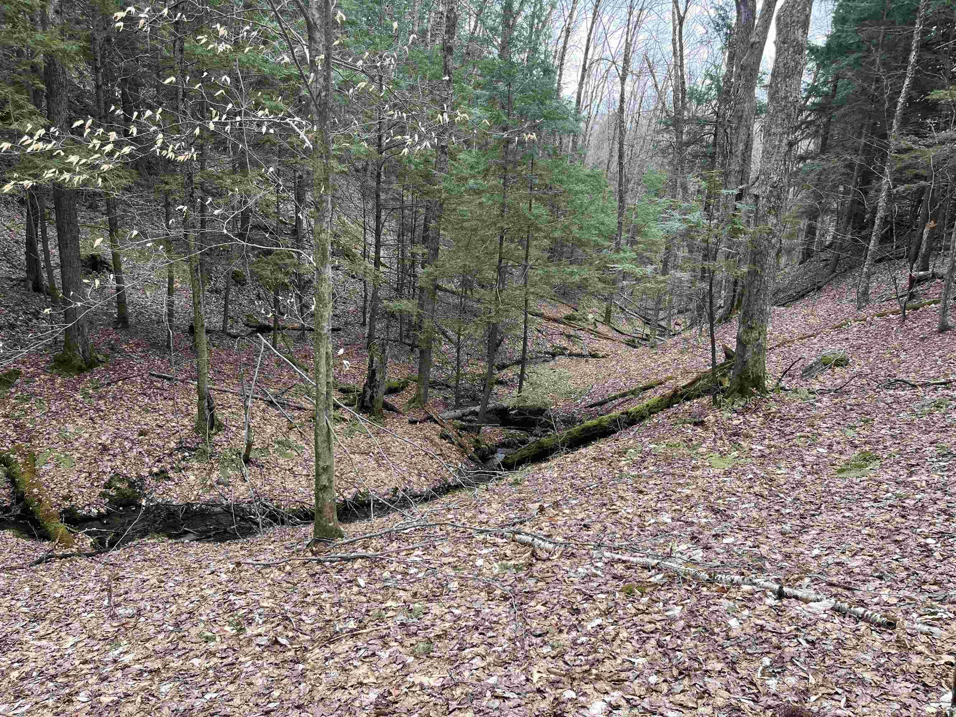 Hyde Park, VT 05655,Lot 4 Haley DR #Lot 4