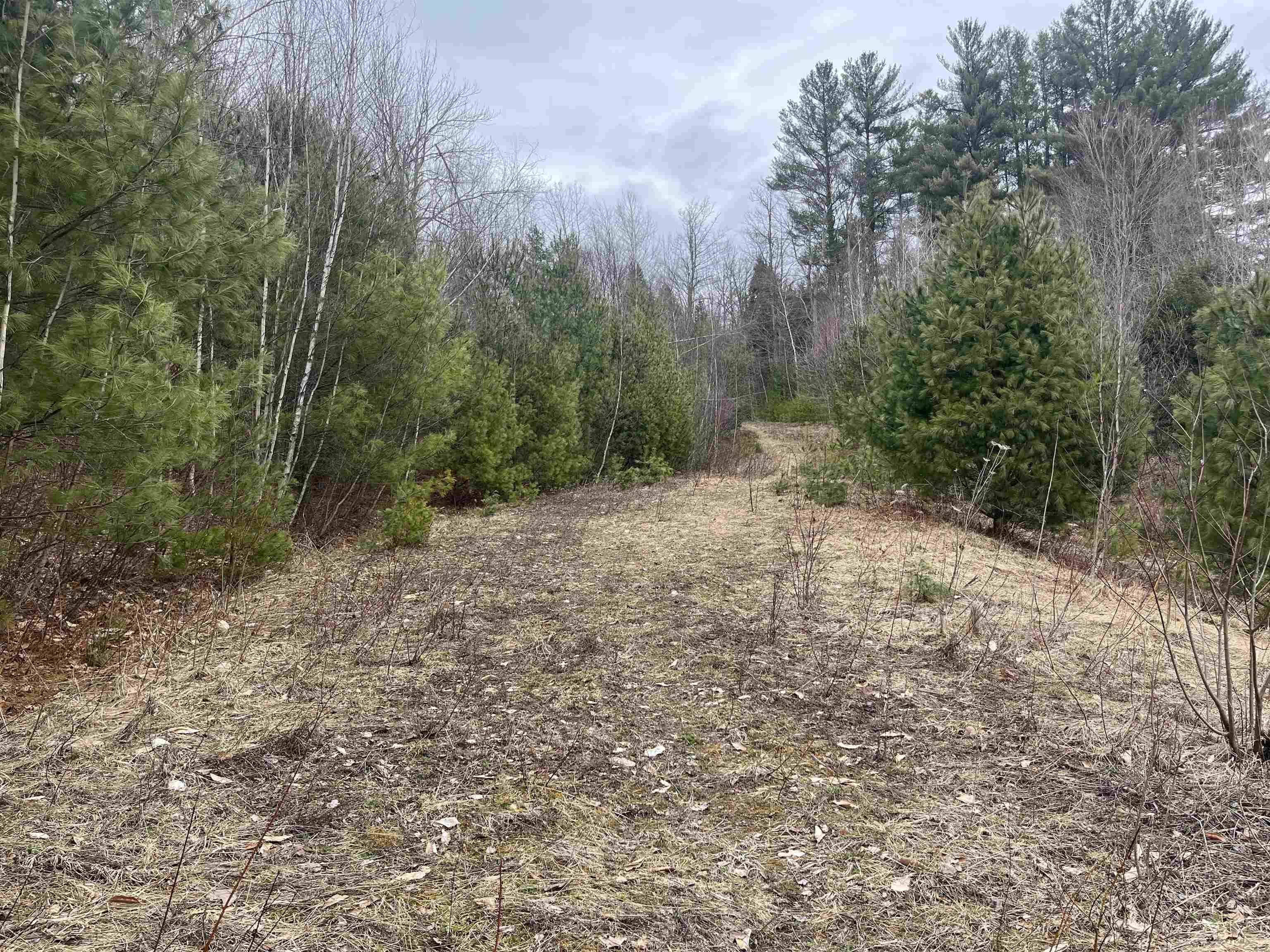 Hyde Park, VT 05655,Lot 5 Haley DR #Lot 5
