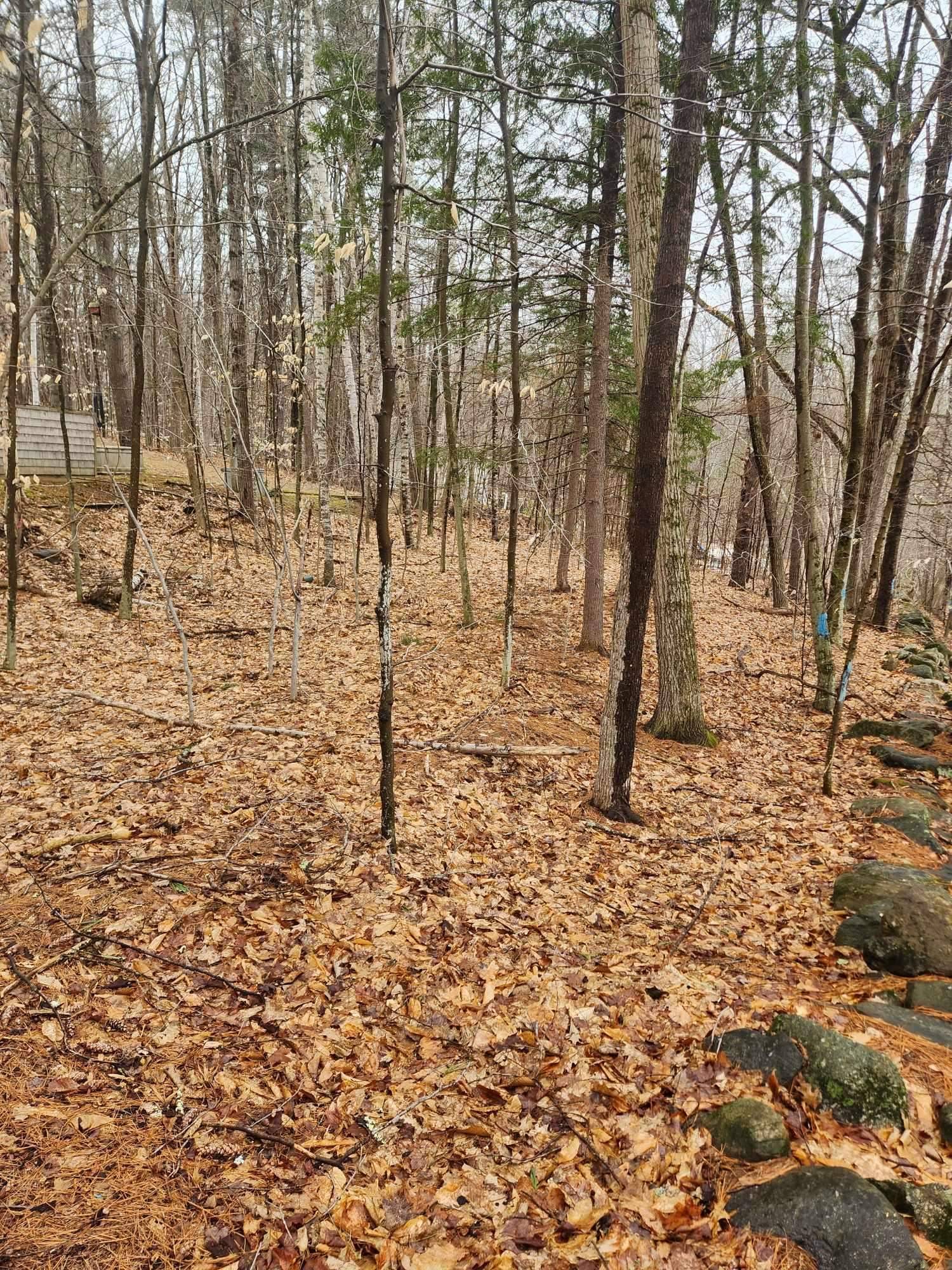 Gilmanton, NH 03237,0 Dock RD