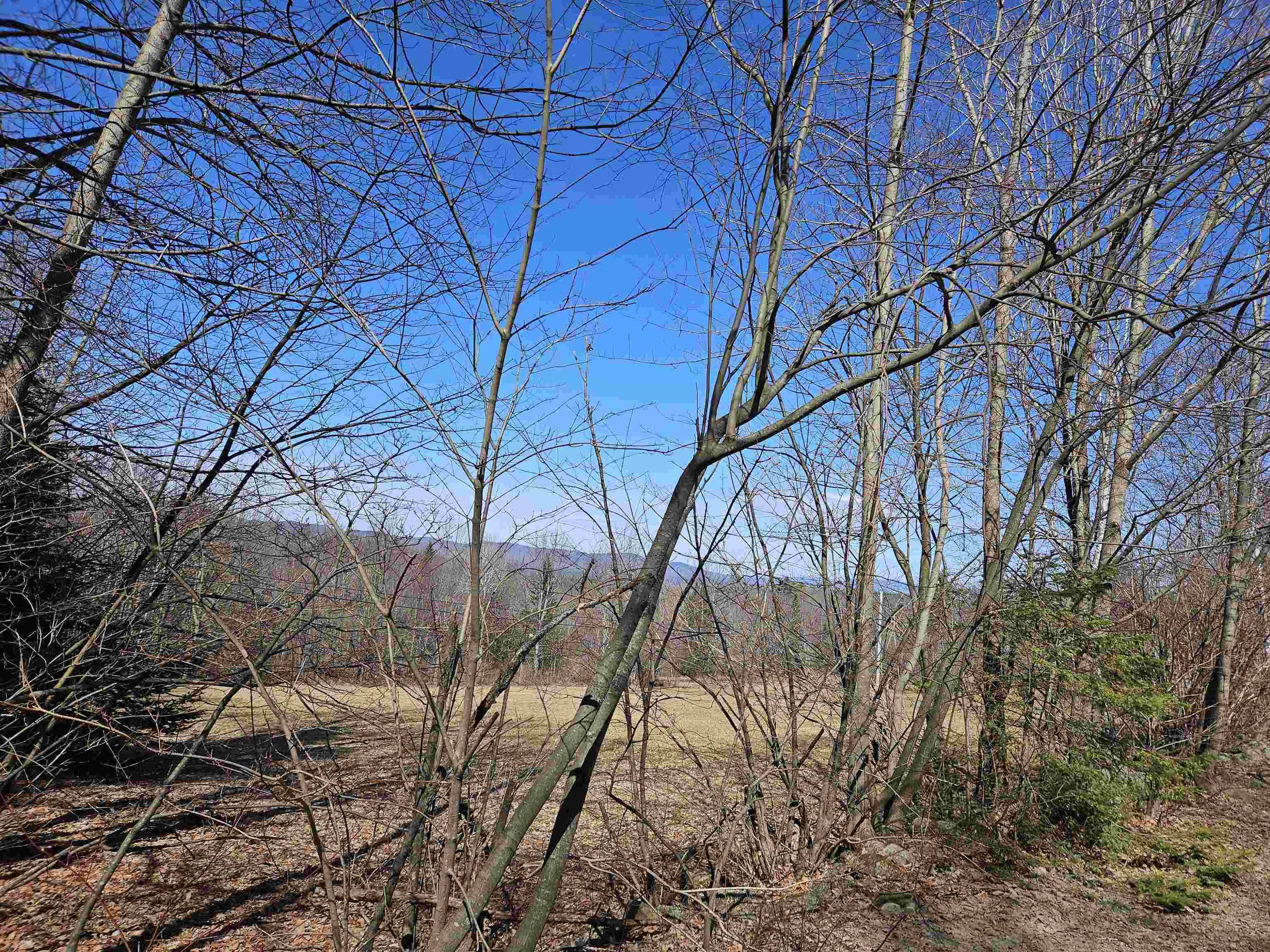 Bethlehem, NH 03574,Lot 5 South RD