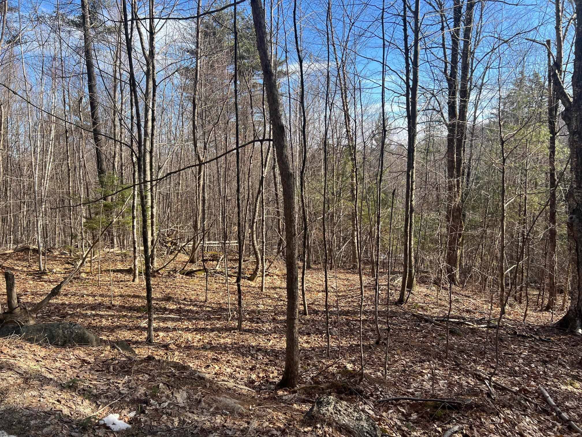 New Hampton, NH 03256,Straits RD #R6-1