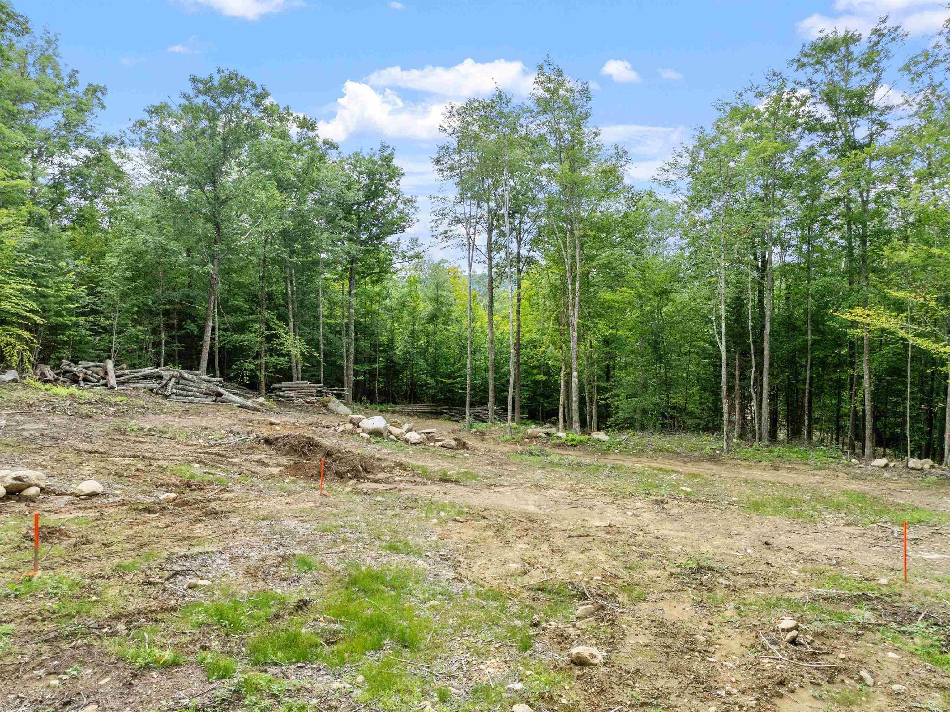 Wentworth, NH 03282,00 East Side RD