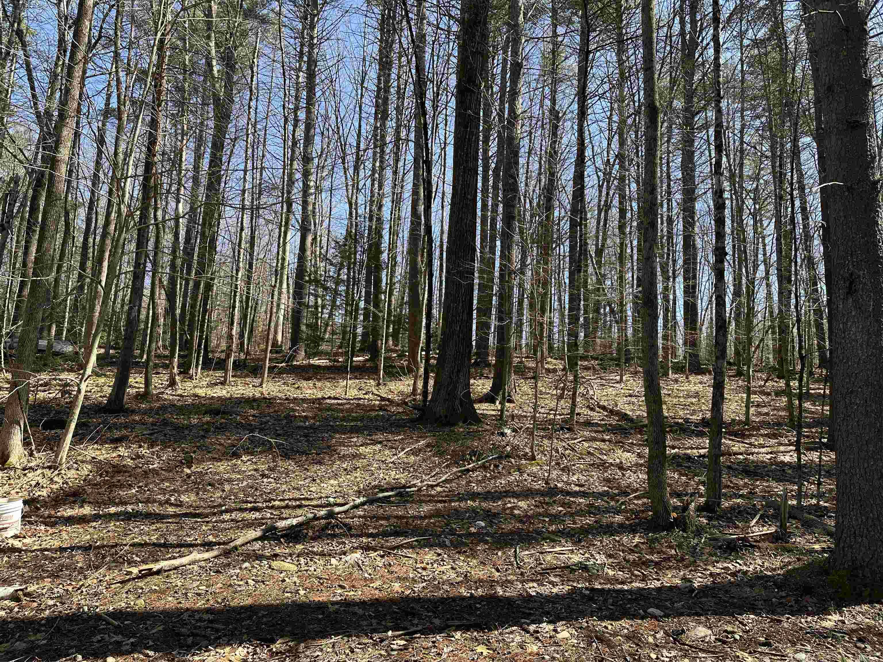 Winchester, NH 03470,400 Manning Hill RD