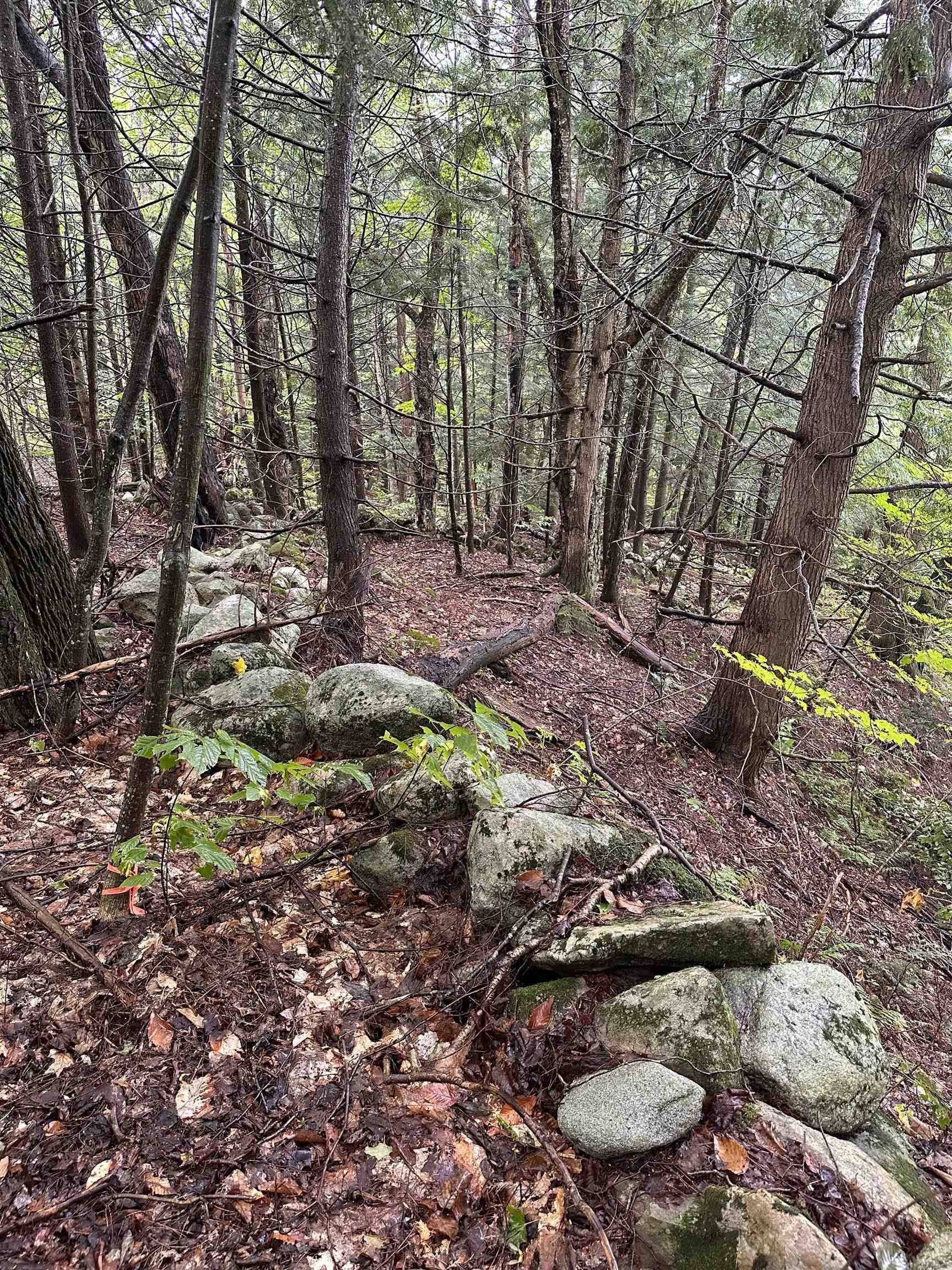 Williamstown, VT 05679,145 Therriault HL