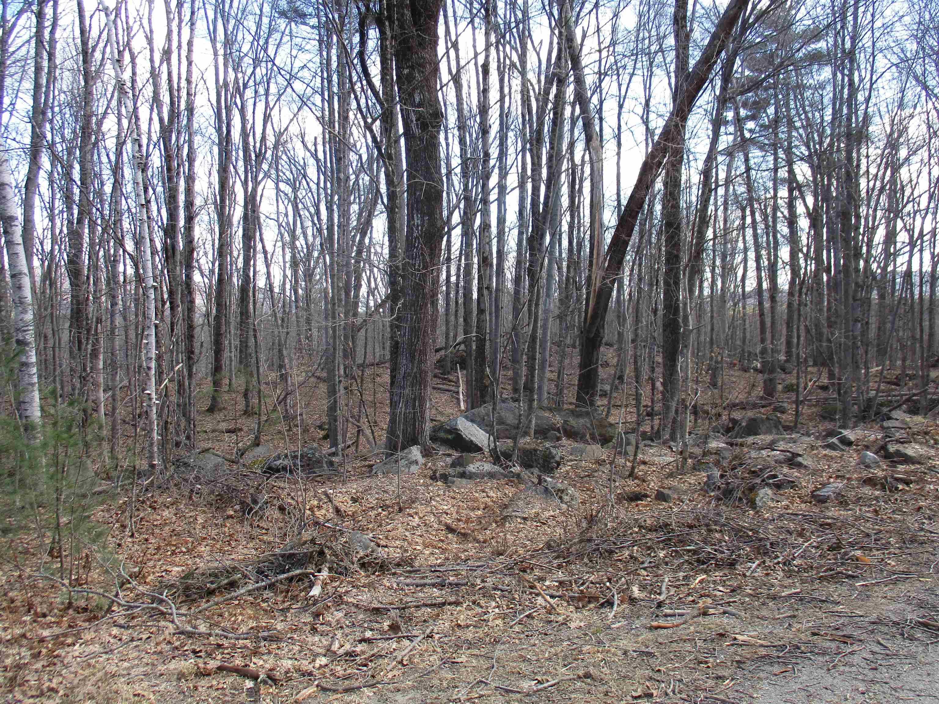Greenfield, NH 03047,S5-11 Longwood DR