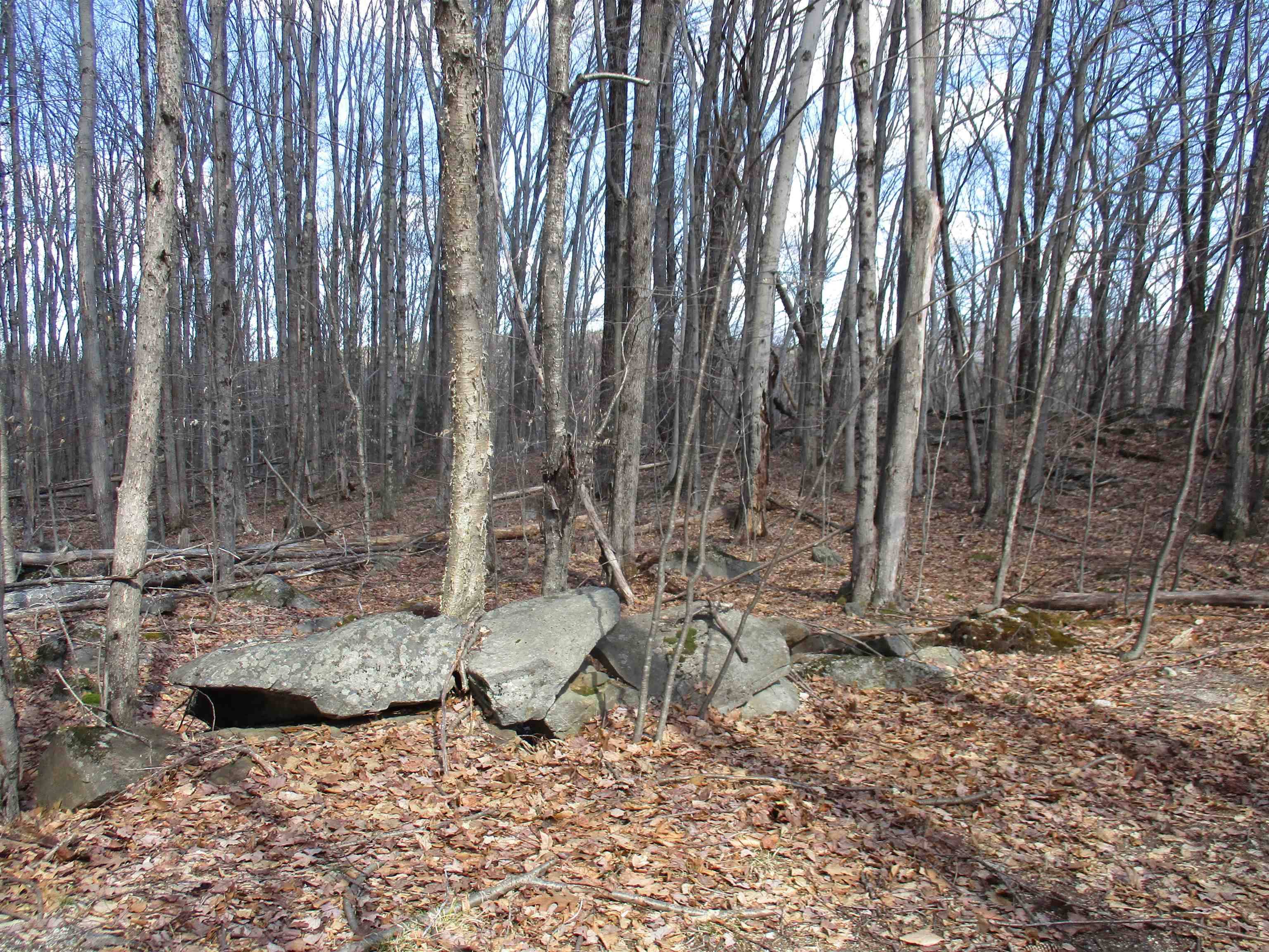 Greenfield, NH 03047,S5-11 Longwood DR