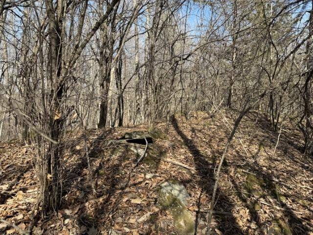 Orwell, VT 05760,0 Route 73E