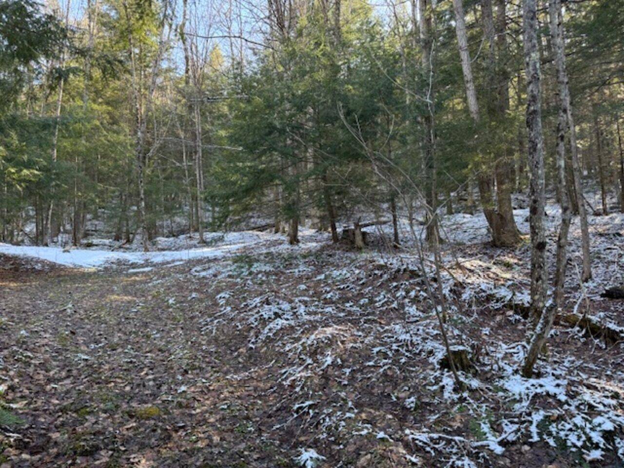 Barre Town, VT 05641,0 Cedar ST