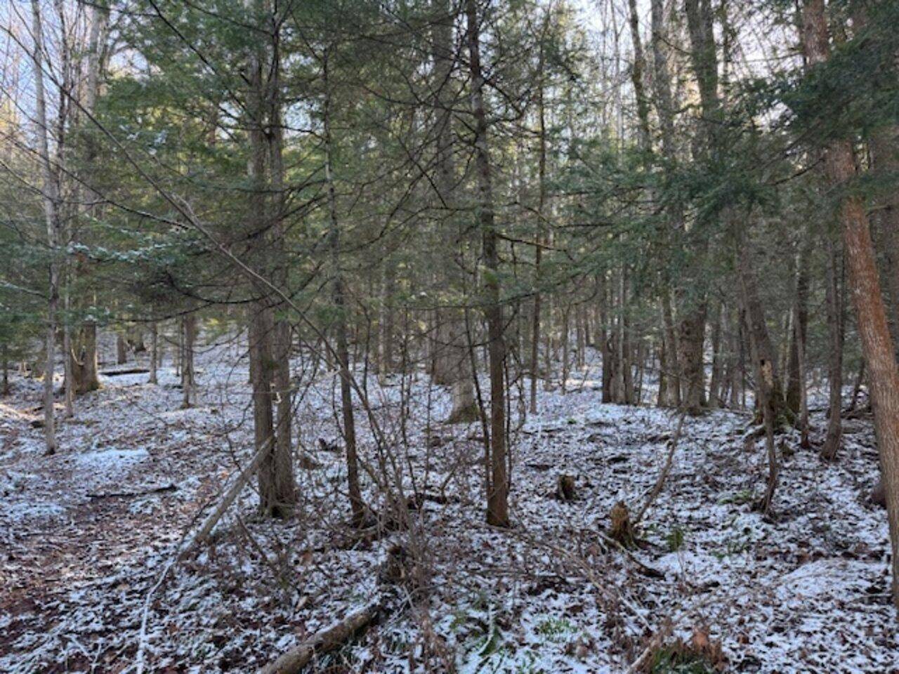 Barre Town, VT 05641,0 Cedar ST