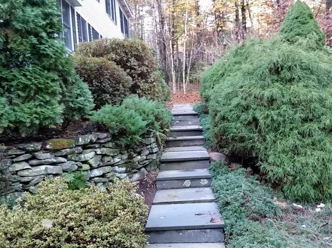 Hollis, NH 03049,51 Hannah DR