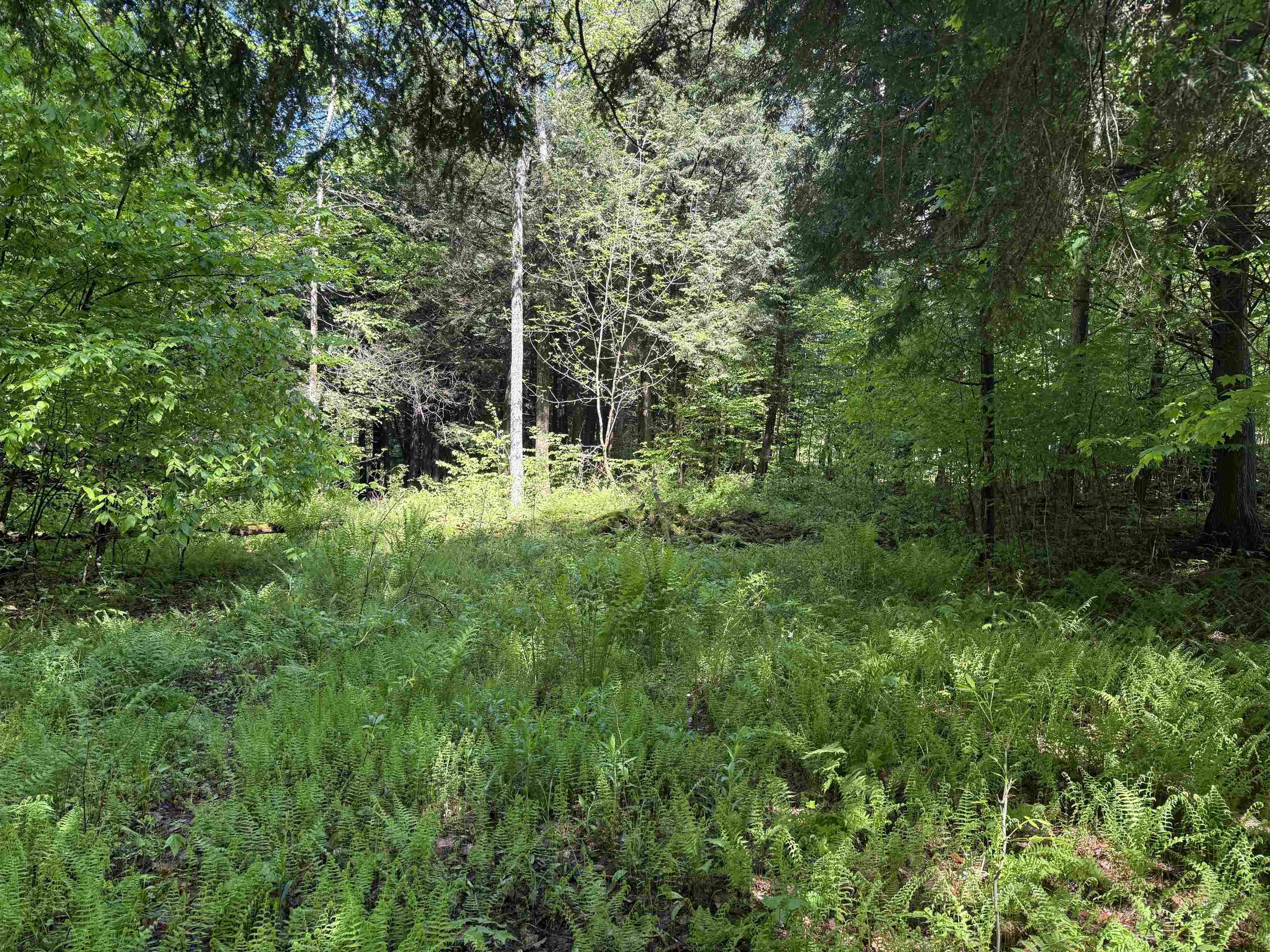 Johnson, VT 05656,TBD Plot RD