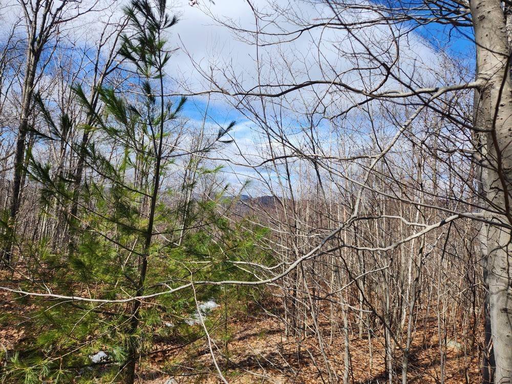 Alton, NH 03810,0 Frohock Brook RD