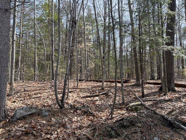 Wolfeboro, NH 03894,88 Normas LN #88