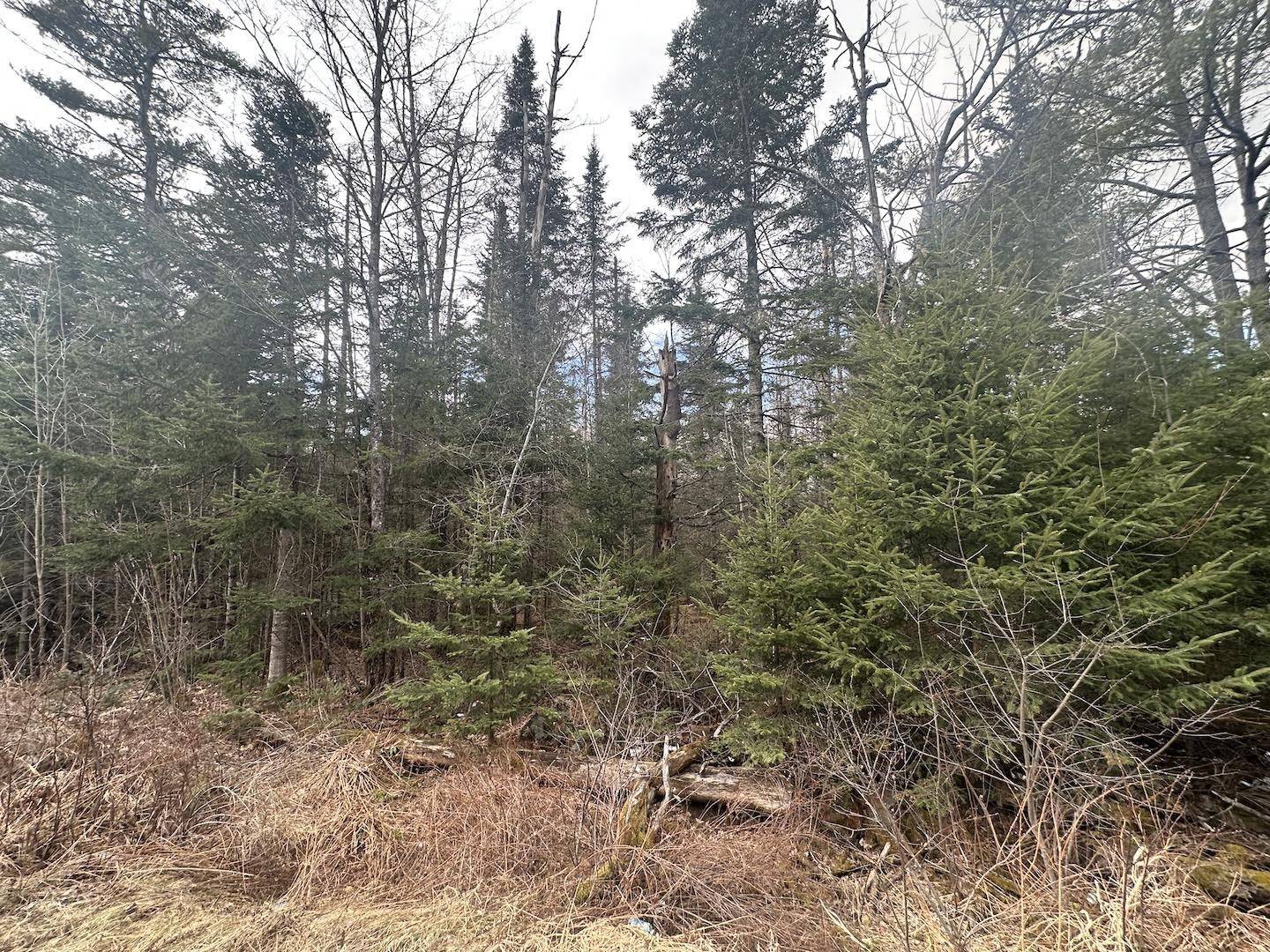 Littleton, NH 03561,0 North Littleton RD