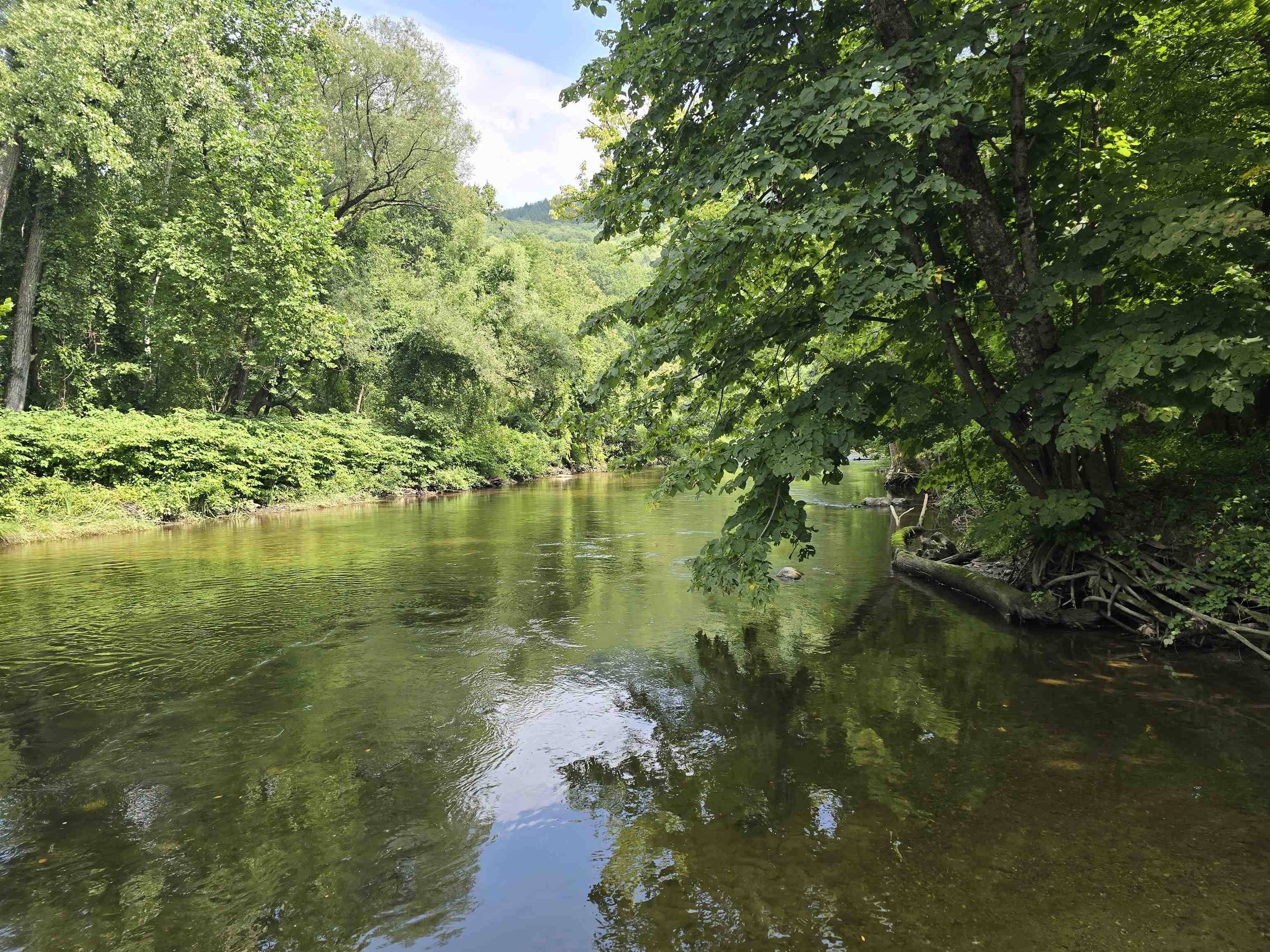 Salem, NY 12873,34 RJ WAY #Lot 4
