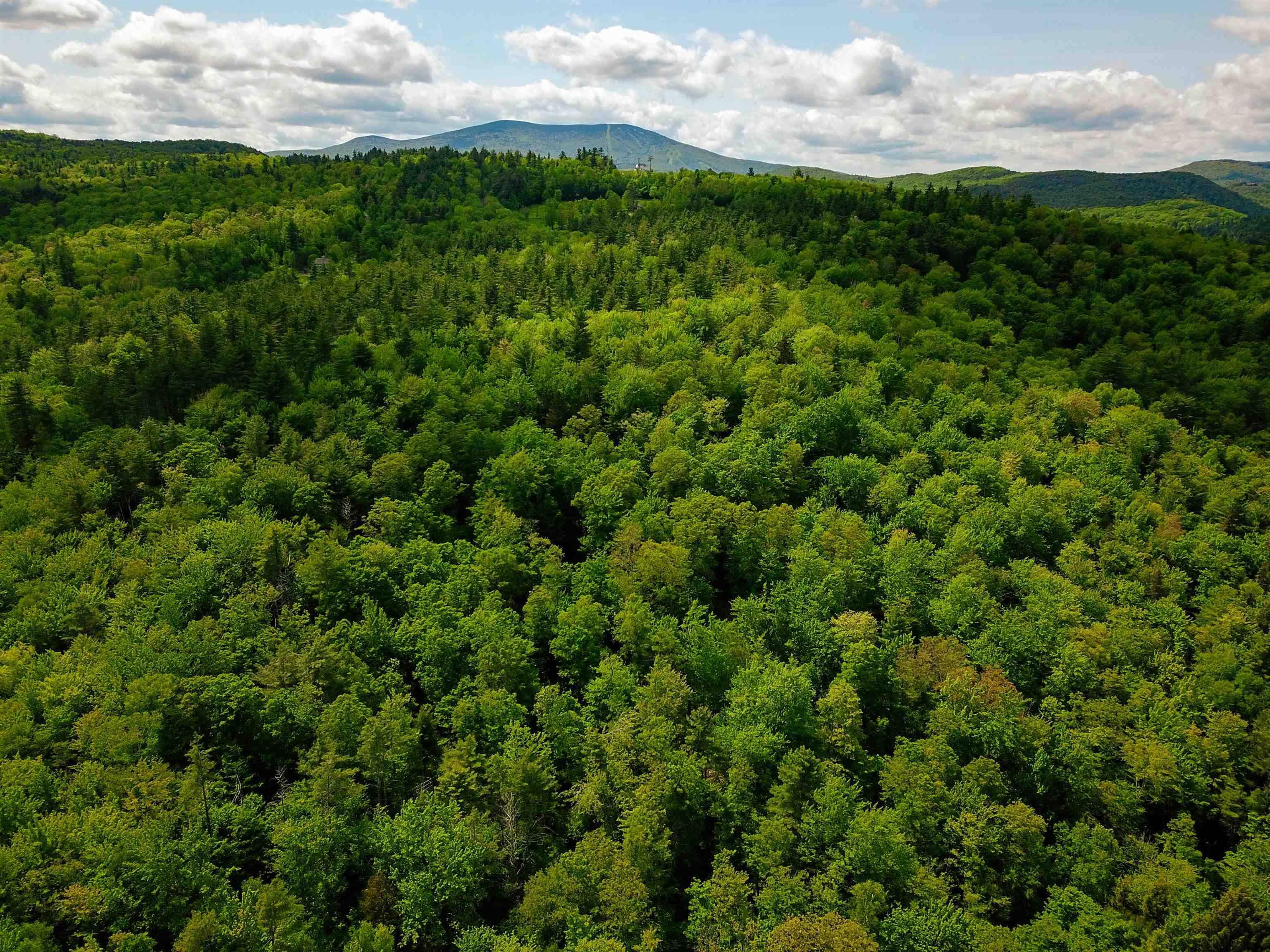 Jamaica, VT 05343,184 Schoolhouse RD #Lot #2