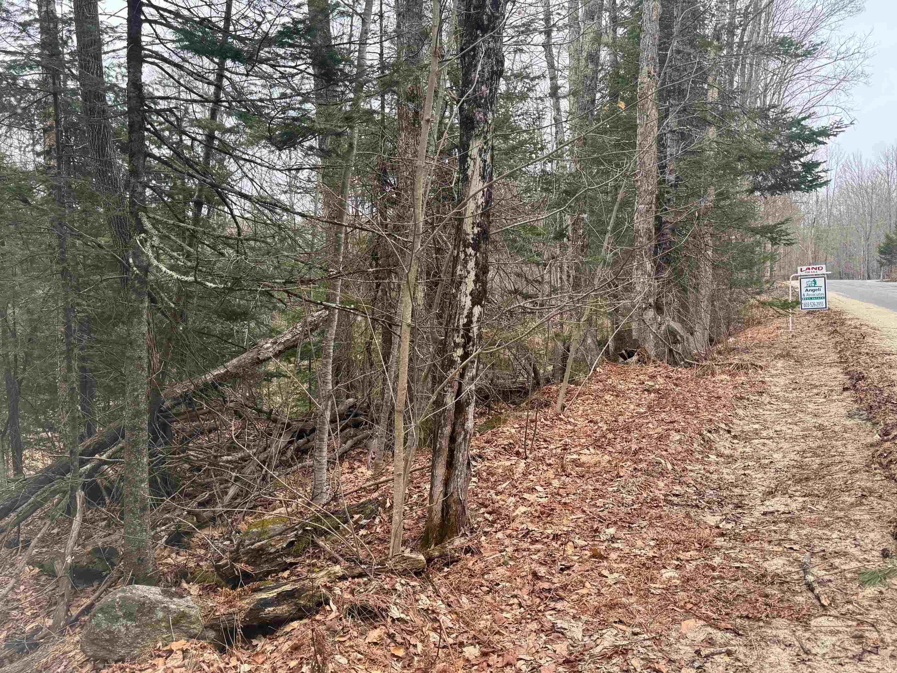 Springfield, NH 03284,3225 George Hill RD
