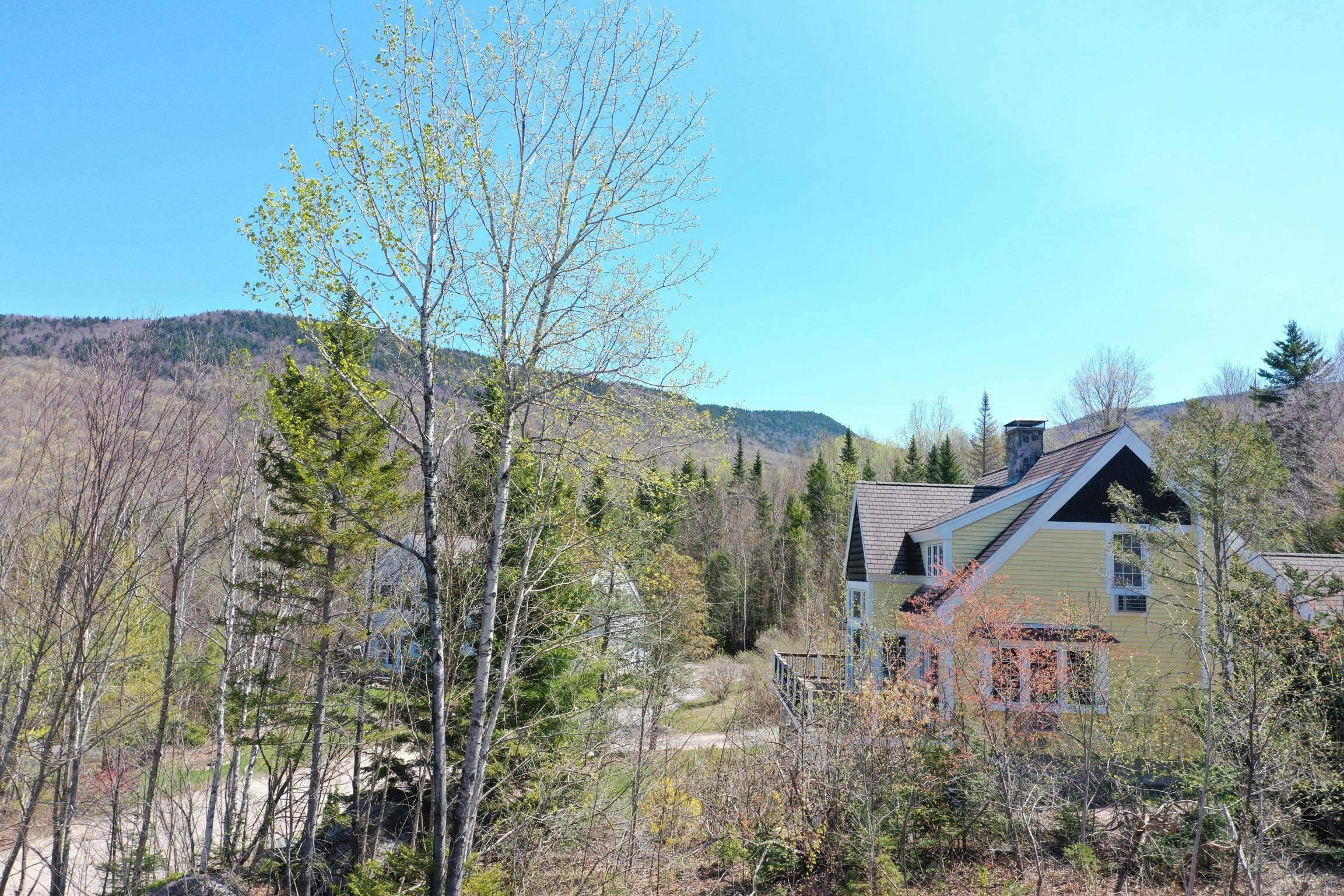 Waterville Valley, NH 03215,24-23 Bear Brook LN #7 and 7A