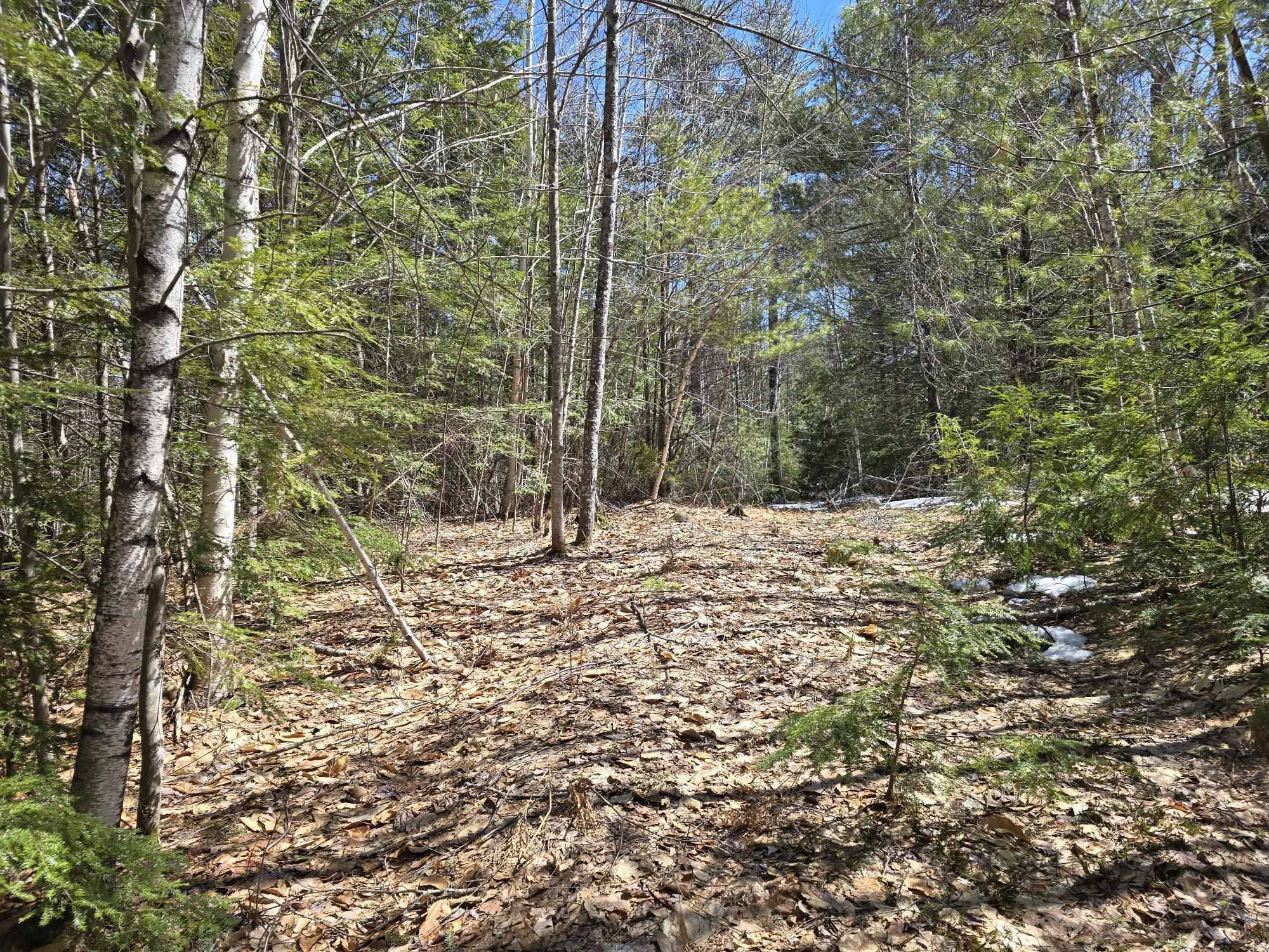 Brownfield, ME 04010,4A Center Conway RD