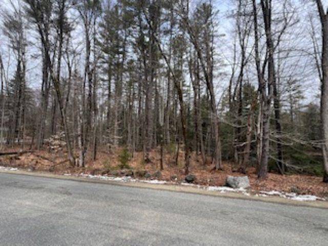 Webster, NH 03303,11-6 Clothespin Bridge RD