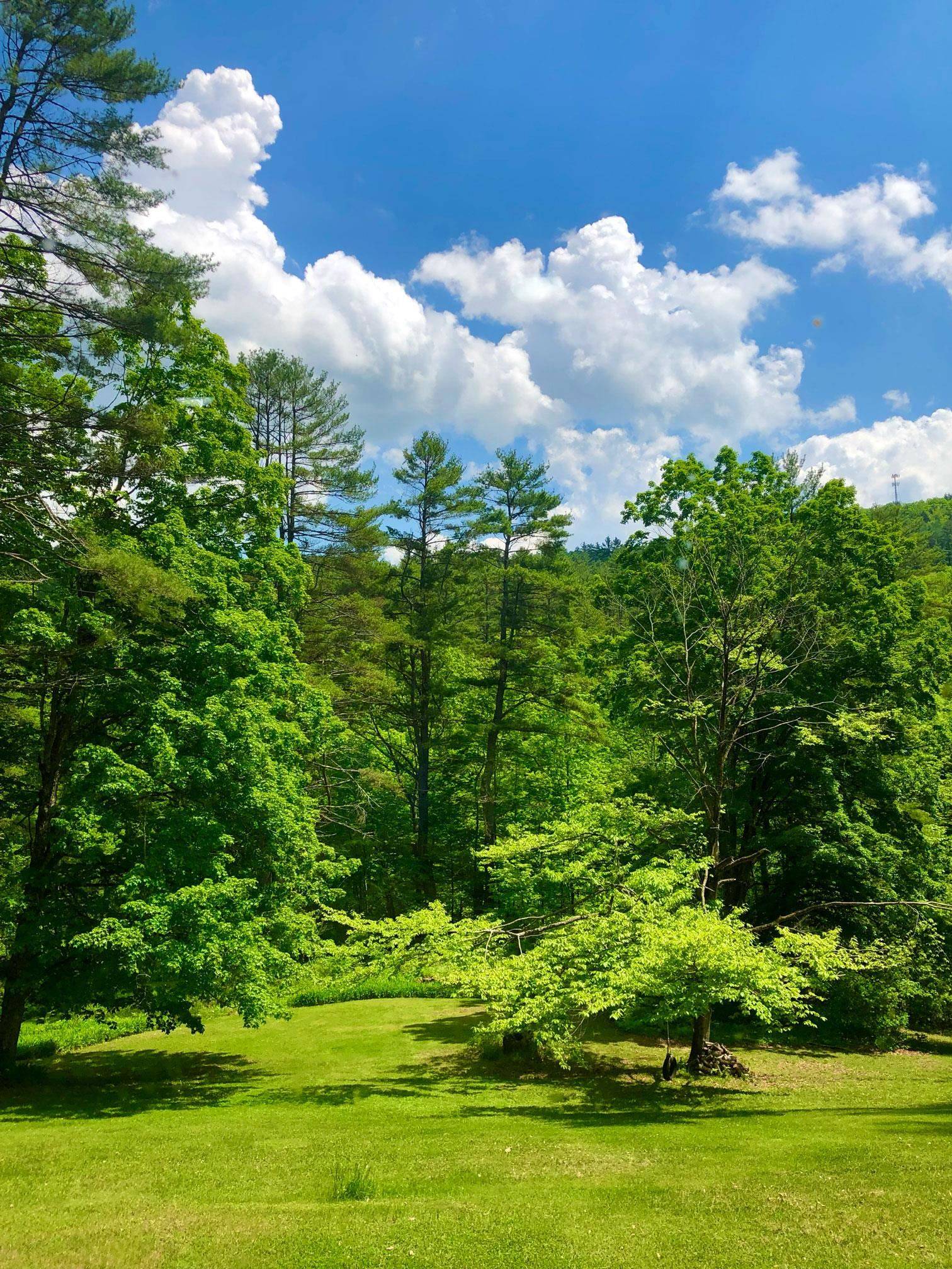 Sharon, VT 05065,1135 Fay Brook RD