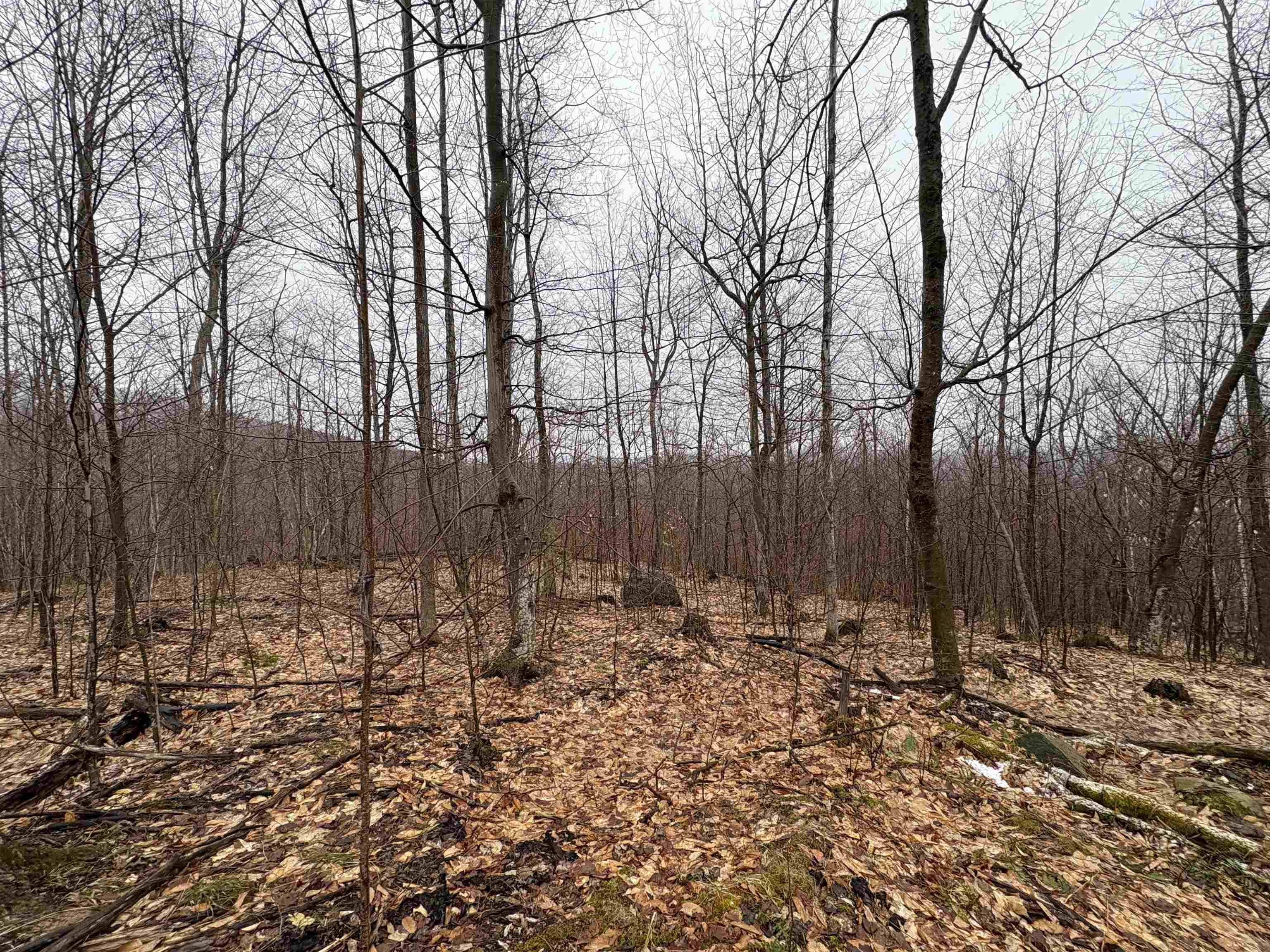 Newport Town, VT 05857,2730 Farrar RD #5