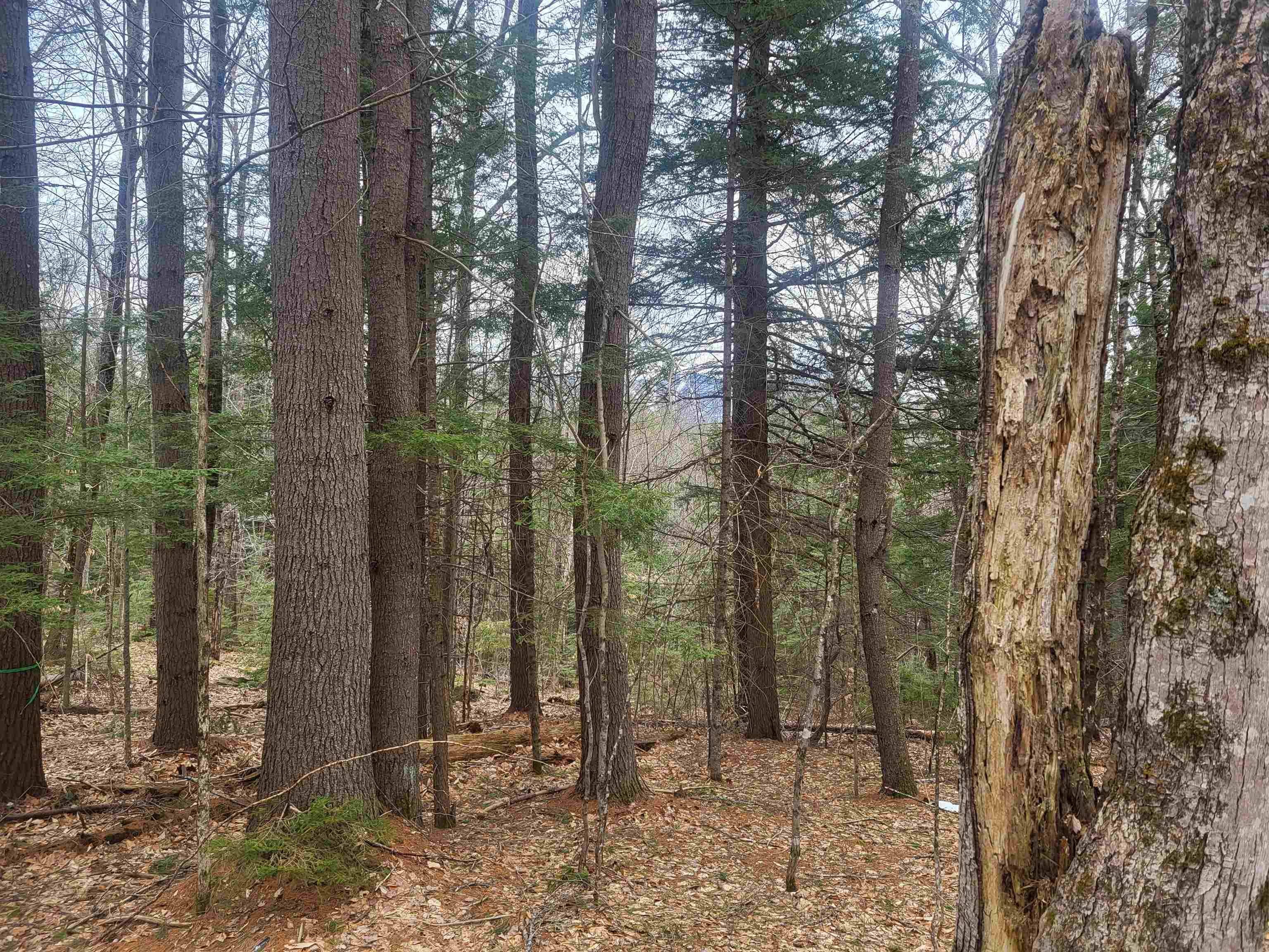 Danbury, NH 03230,410-089-001 Eastern District RD