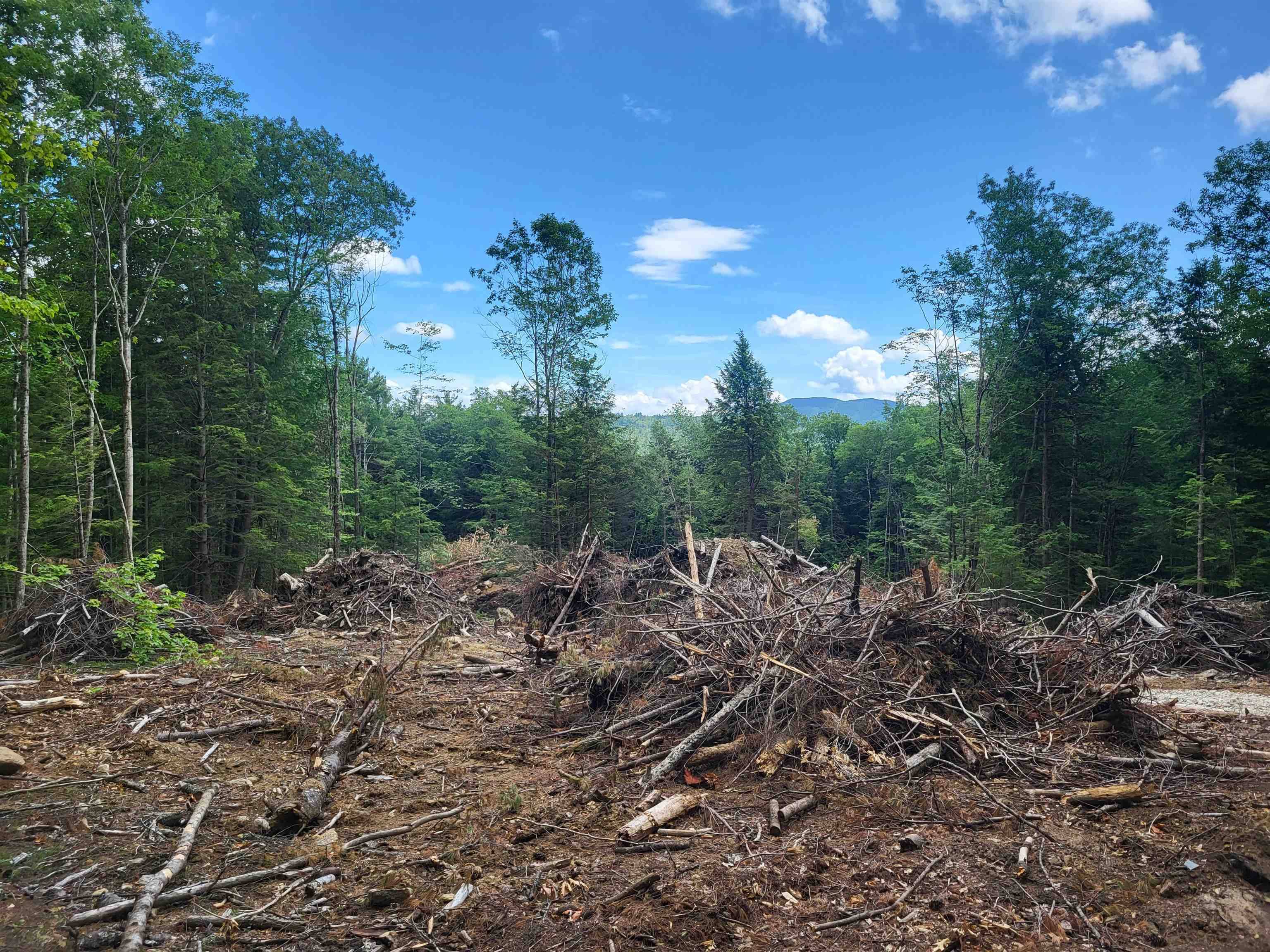 Danbury, NH 03230,410-089-002 Eastern District RD