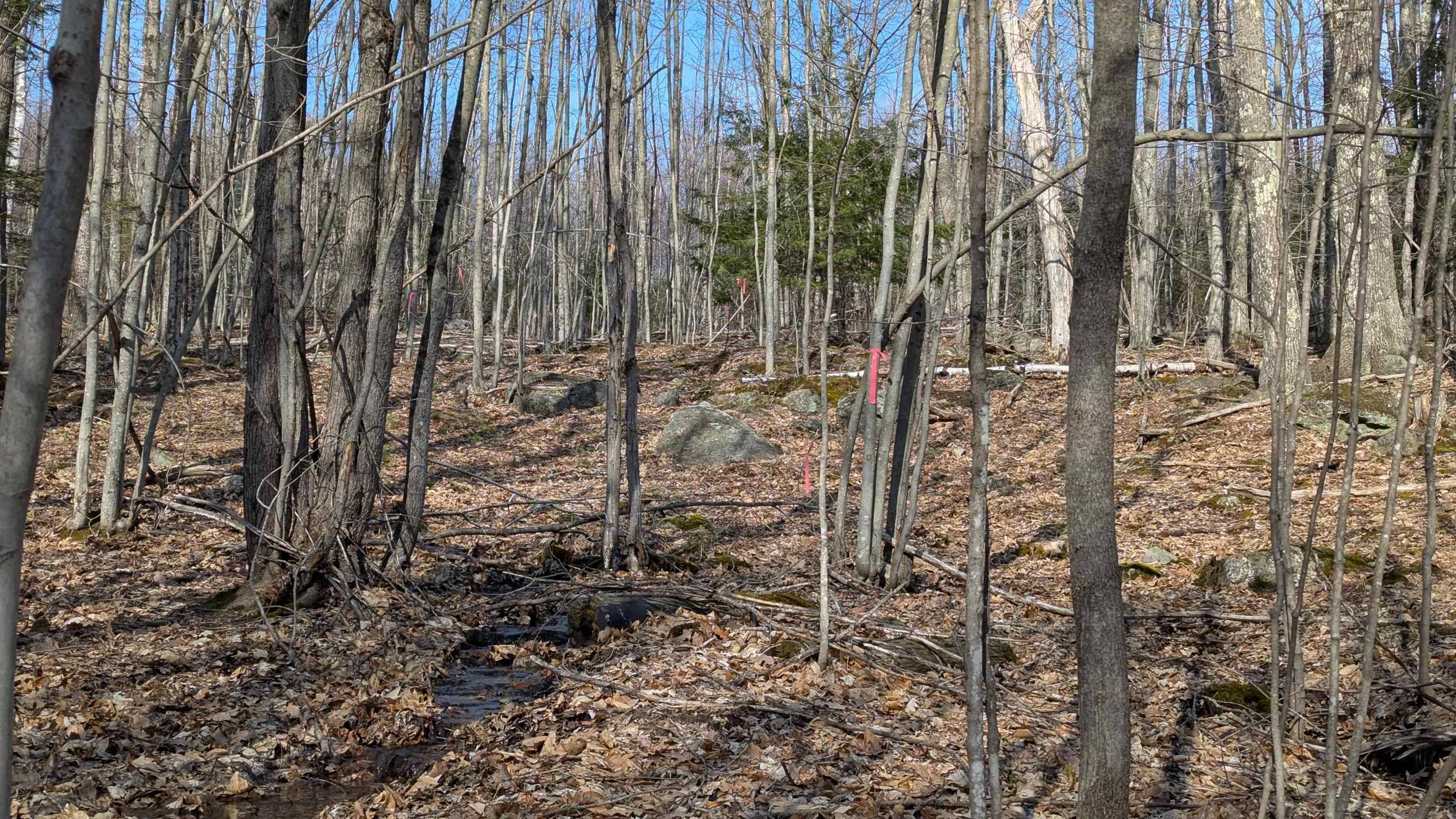 M 3 - L 15-2 Prospect Mountain RD #15-2 Alton, NH 03809