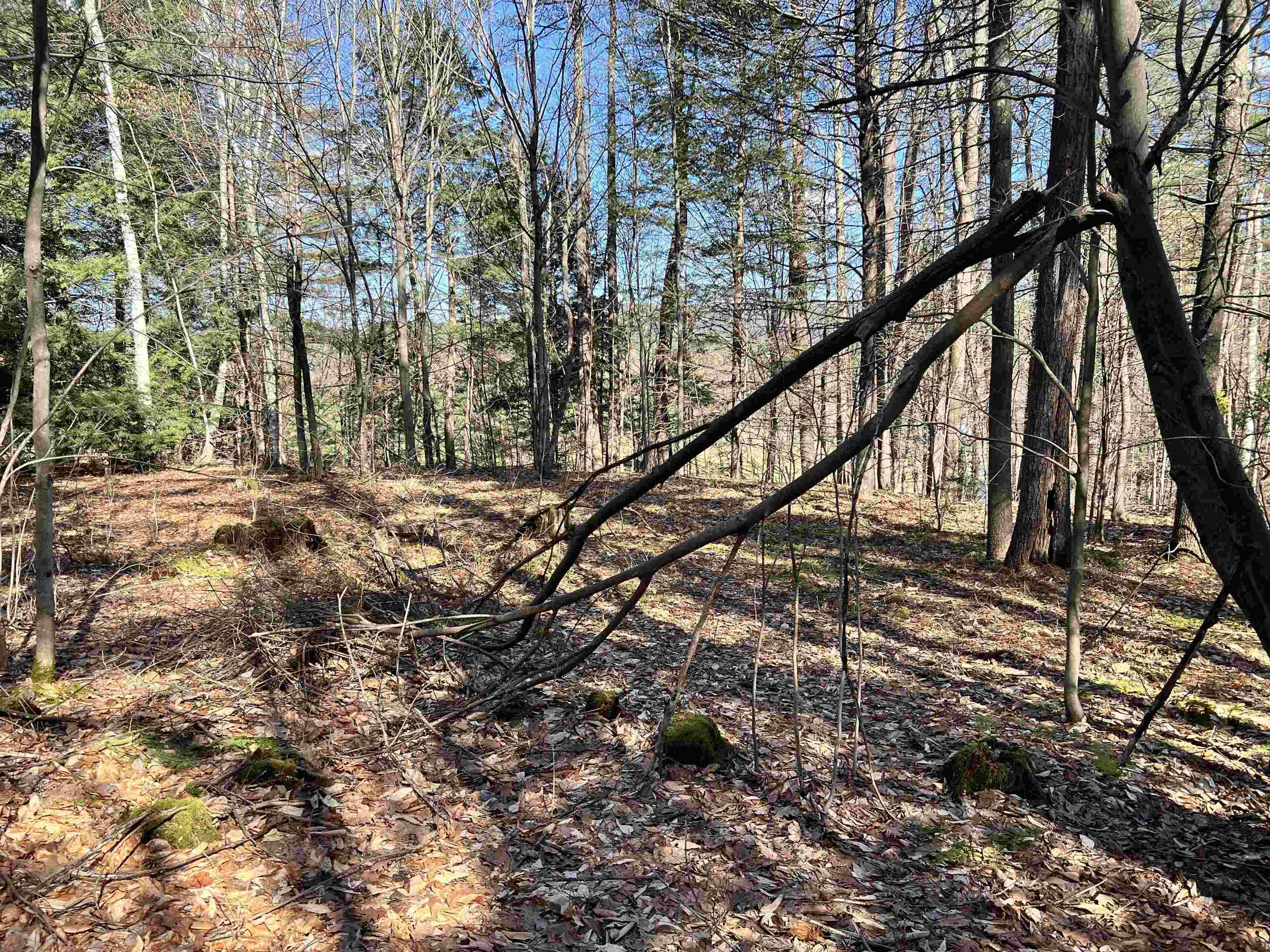 00 Snow LN #Parcel #3 Windsor, VT 05089