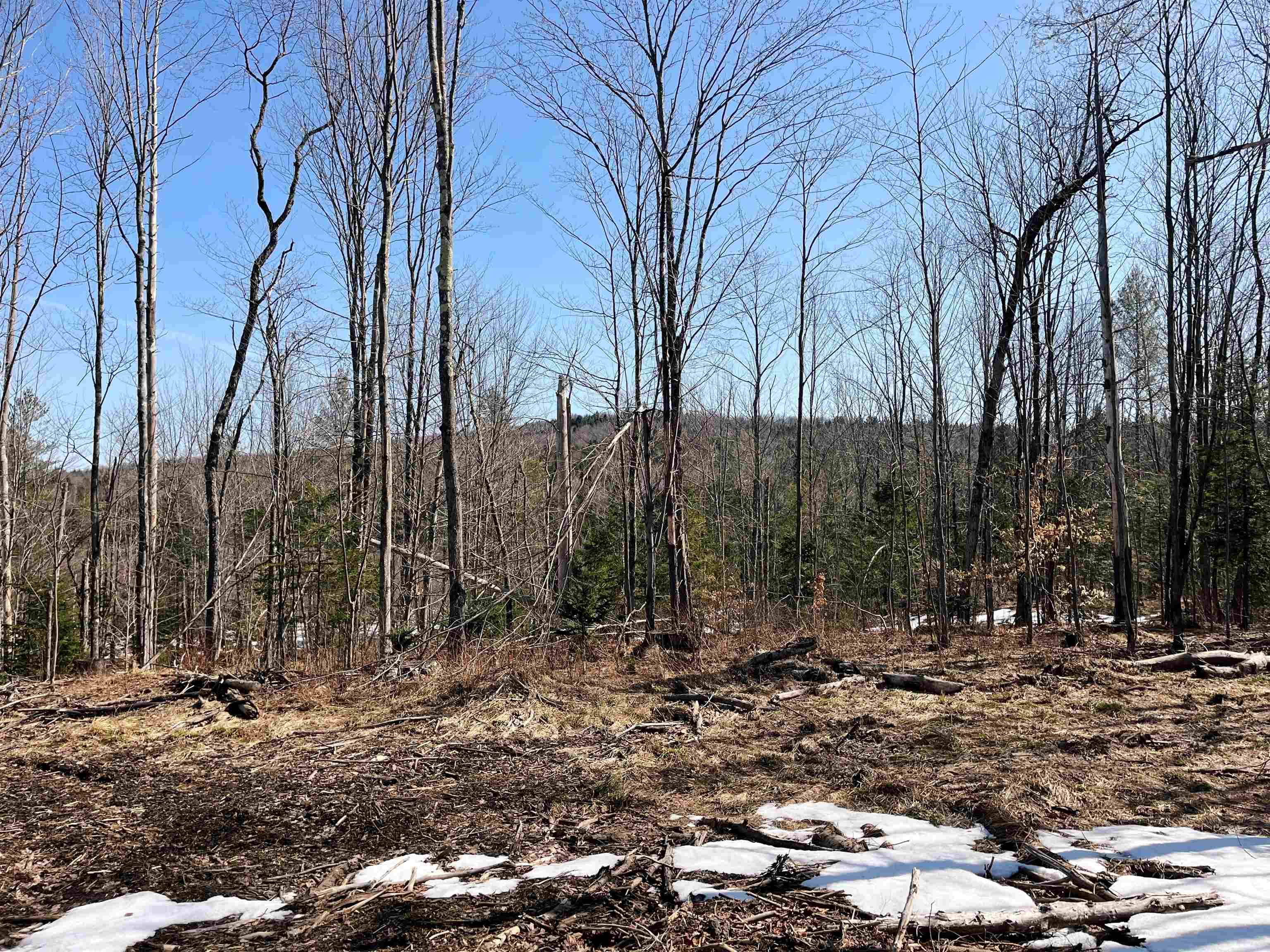 Lowell, VT 05847,0 Blodgett RD