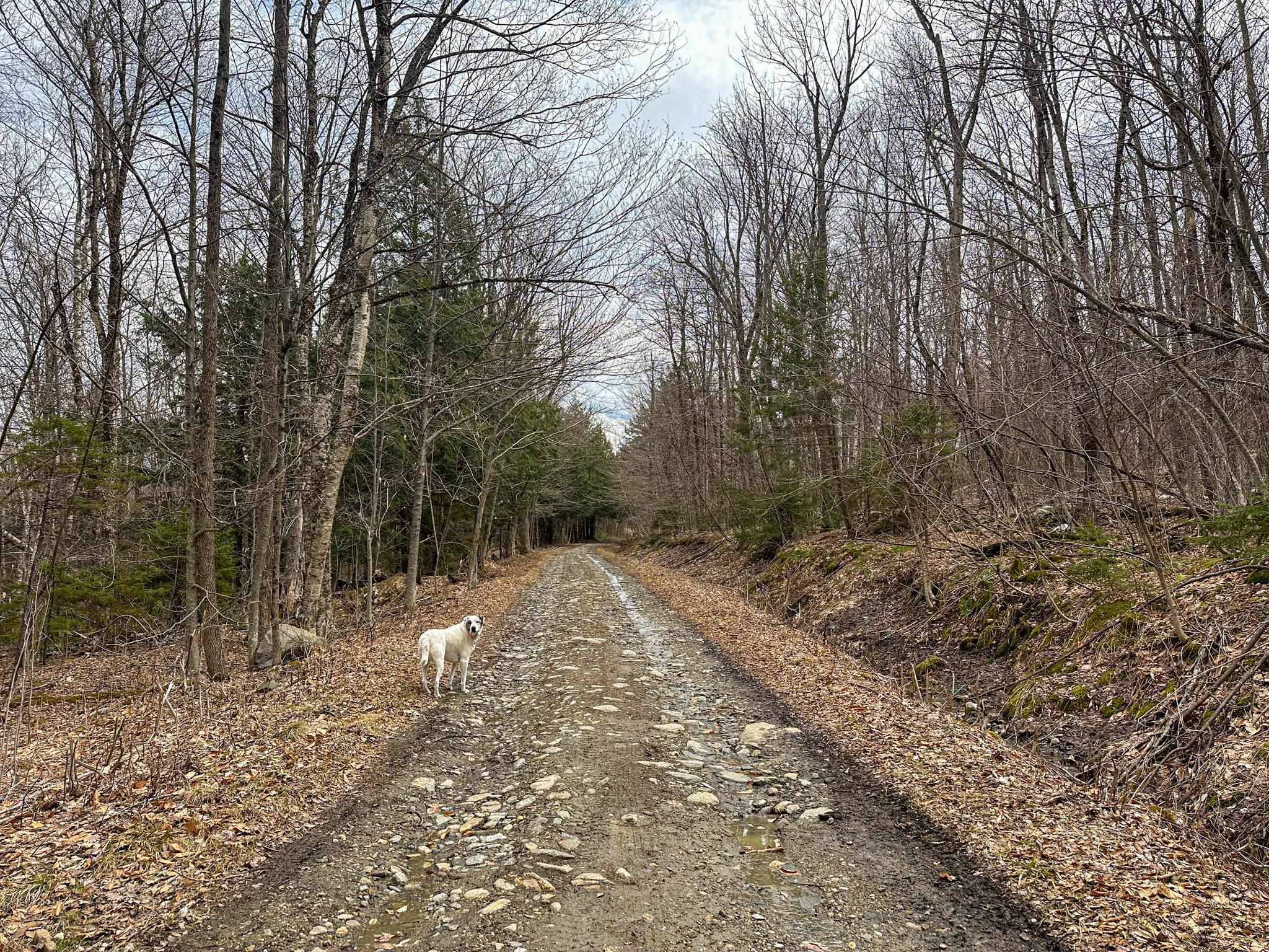 Andover, VT 05143,00 Boone RD