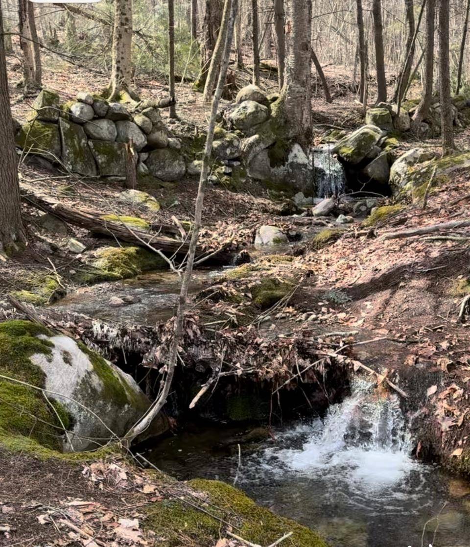 67 Dobbins WAY Alton, NH 03809