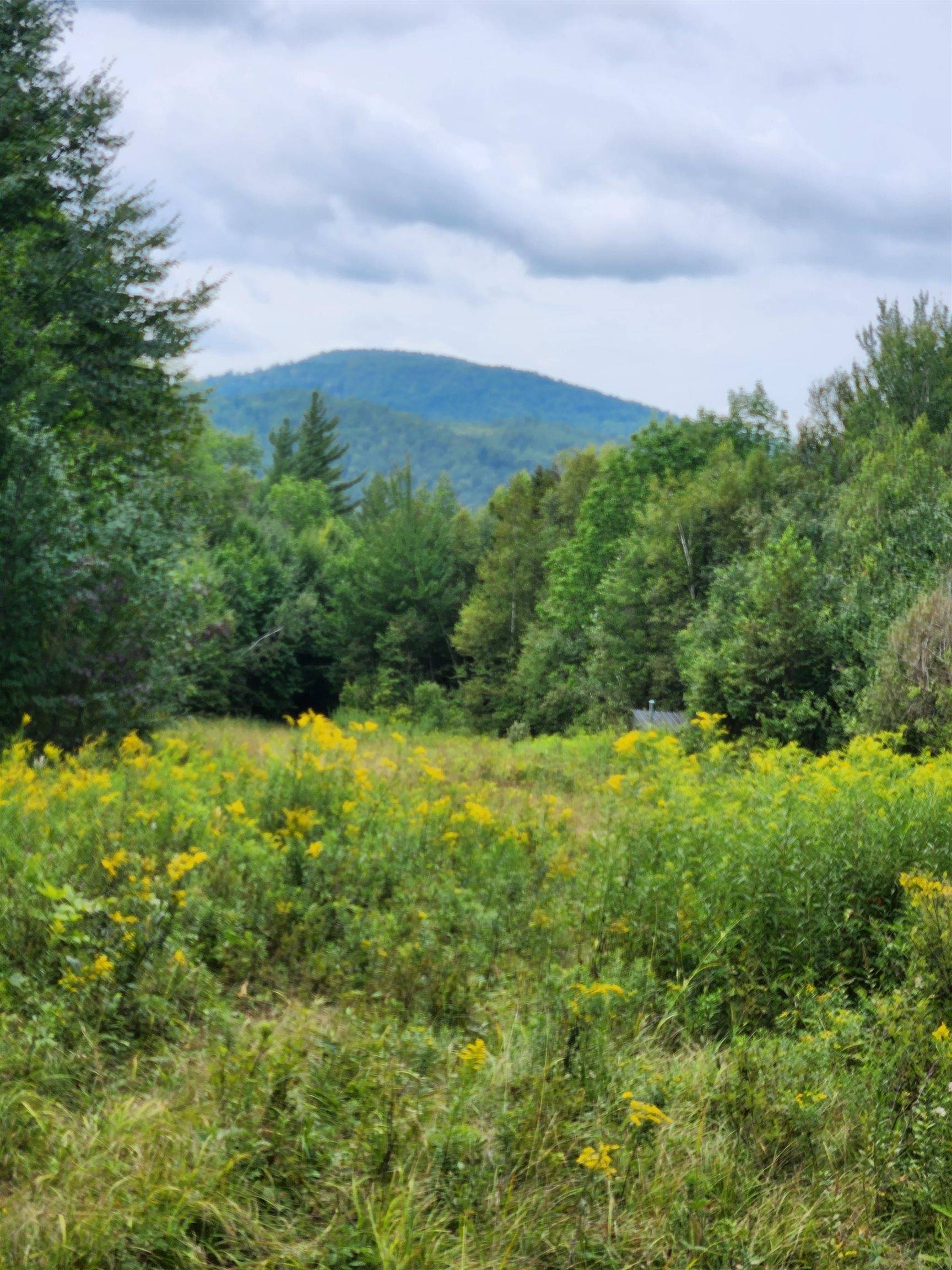 Carroll, NH 03595,0 Route 115