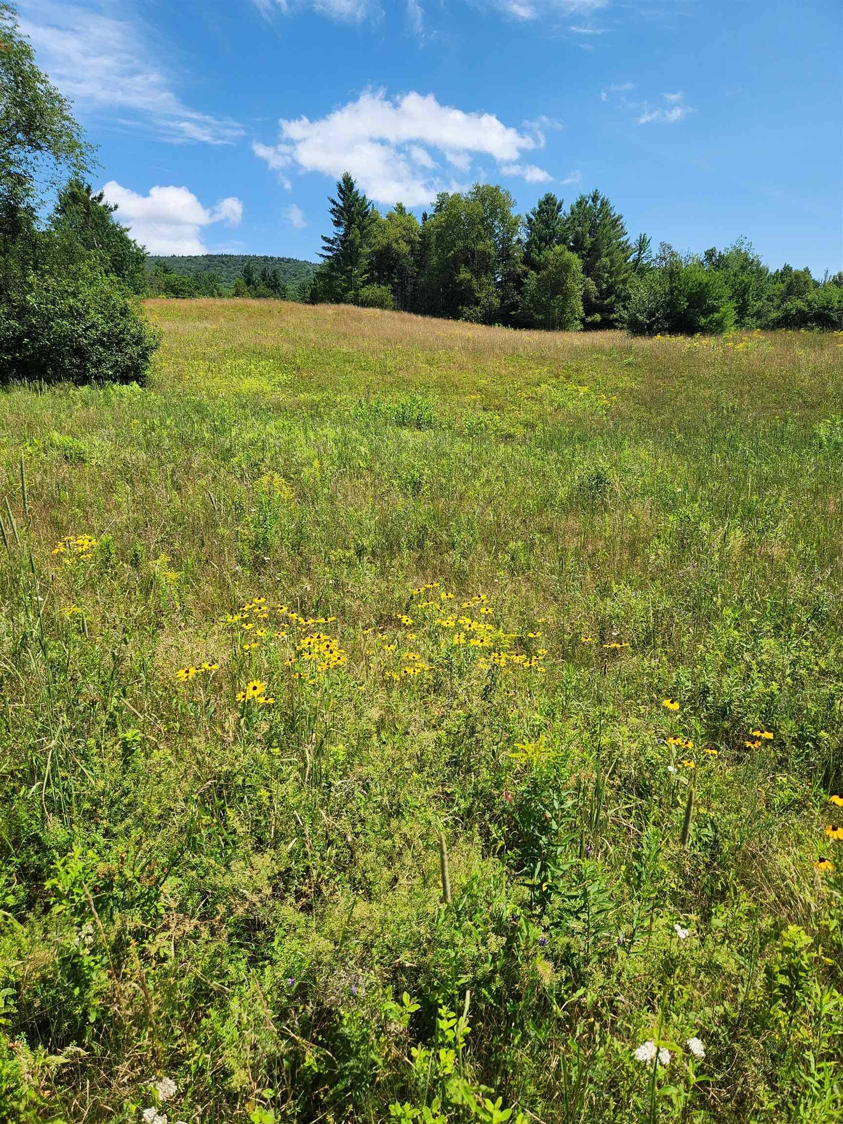 Carroll, NH 03595,0 Route 115