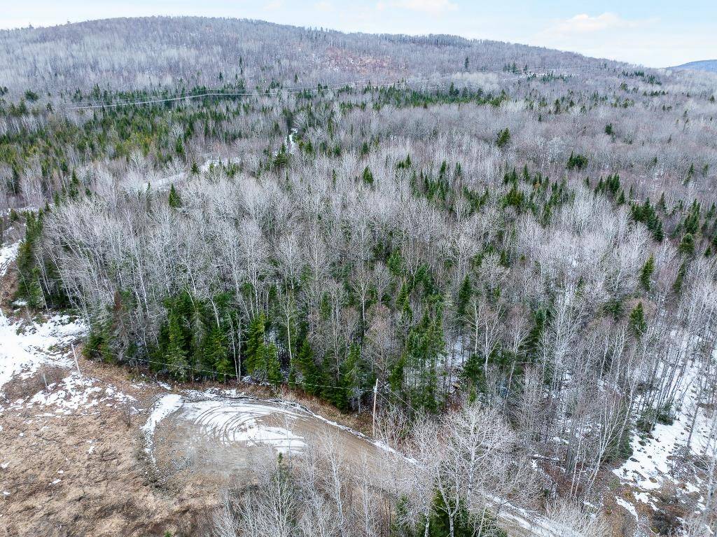 Dummer, NH 03588,40 Pontook Estates RD