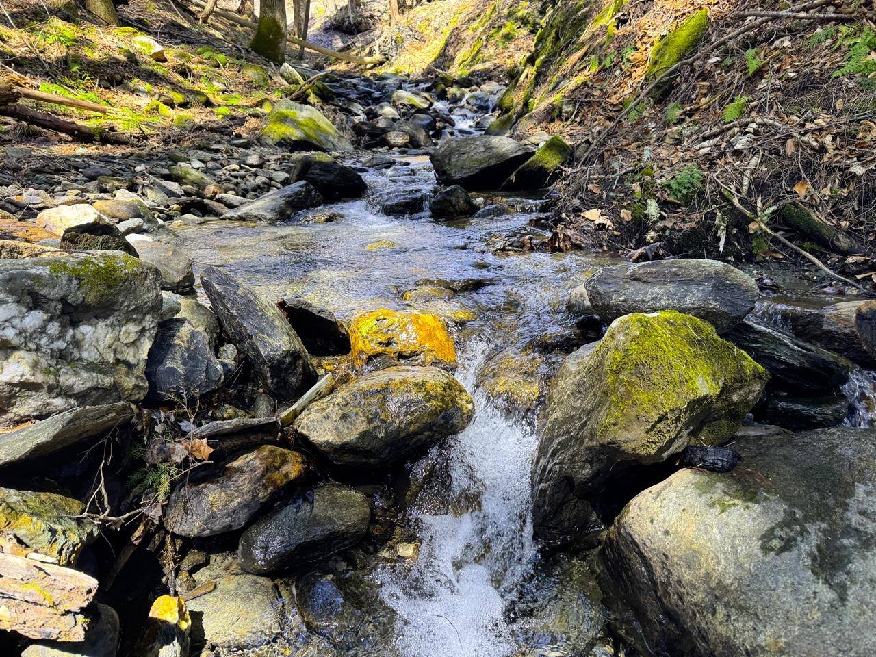 Warren, VT 05674,53 Rocky RD