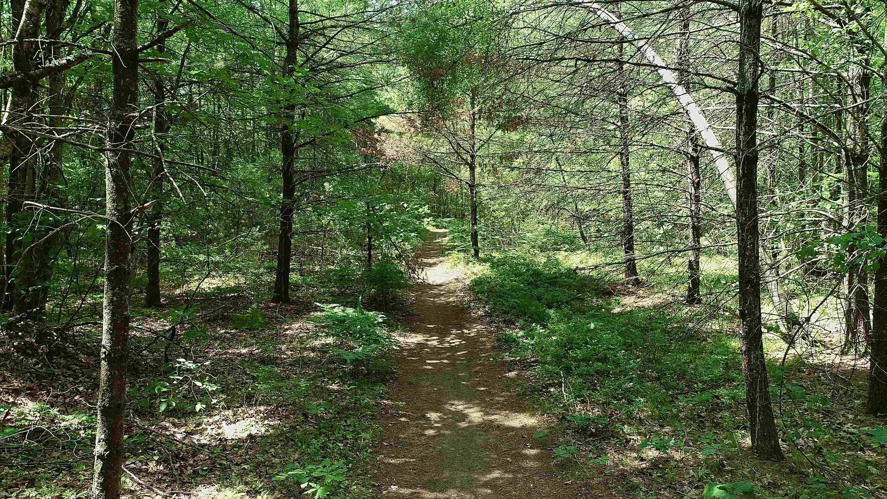 Allenstown, NH 03275,245 Deerfield RD