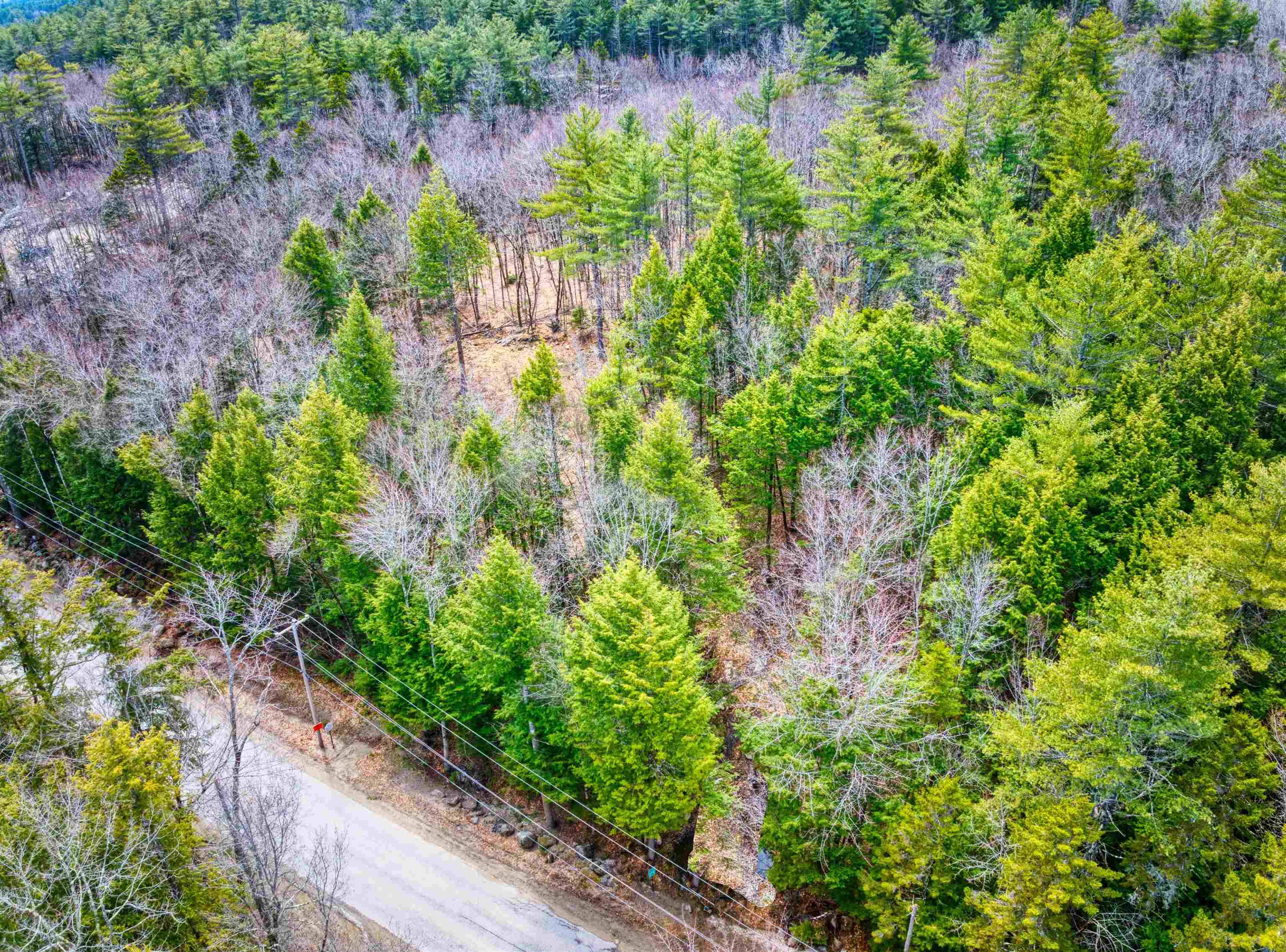 Sutton, NH 03221,Hominy Pot RD