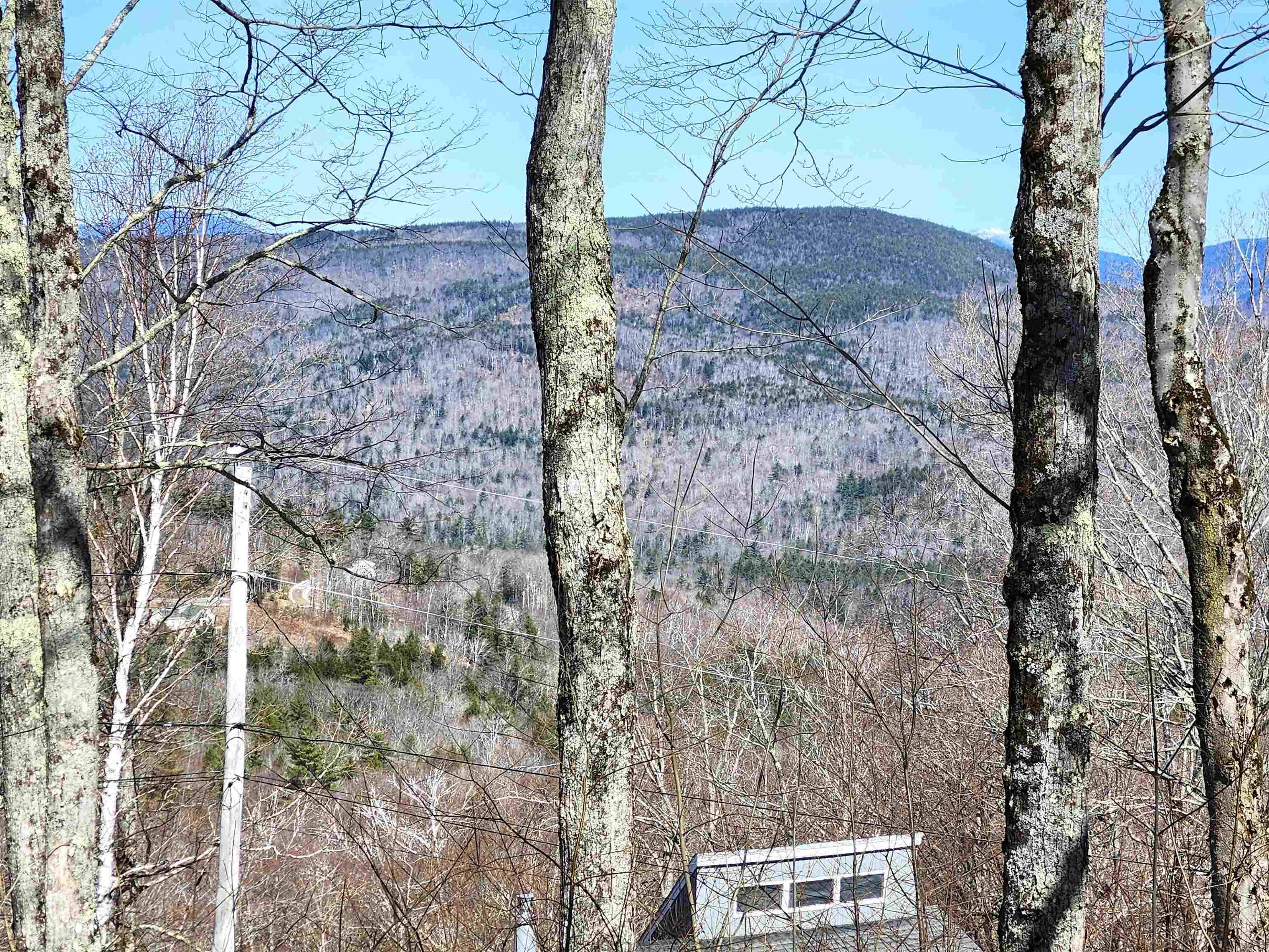 Campton, NH 03223,136 Summit DR