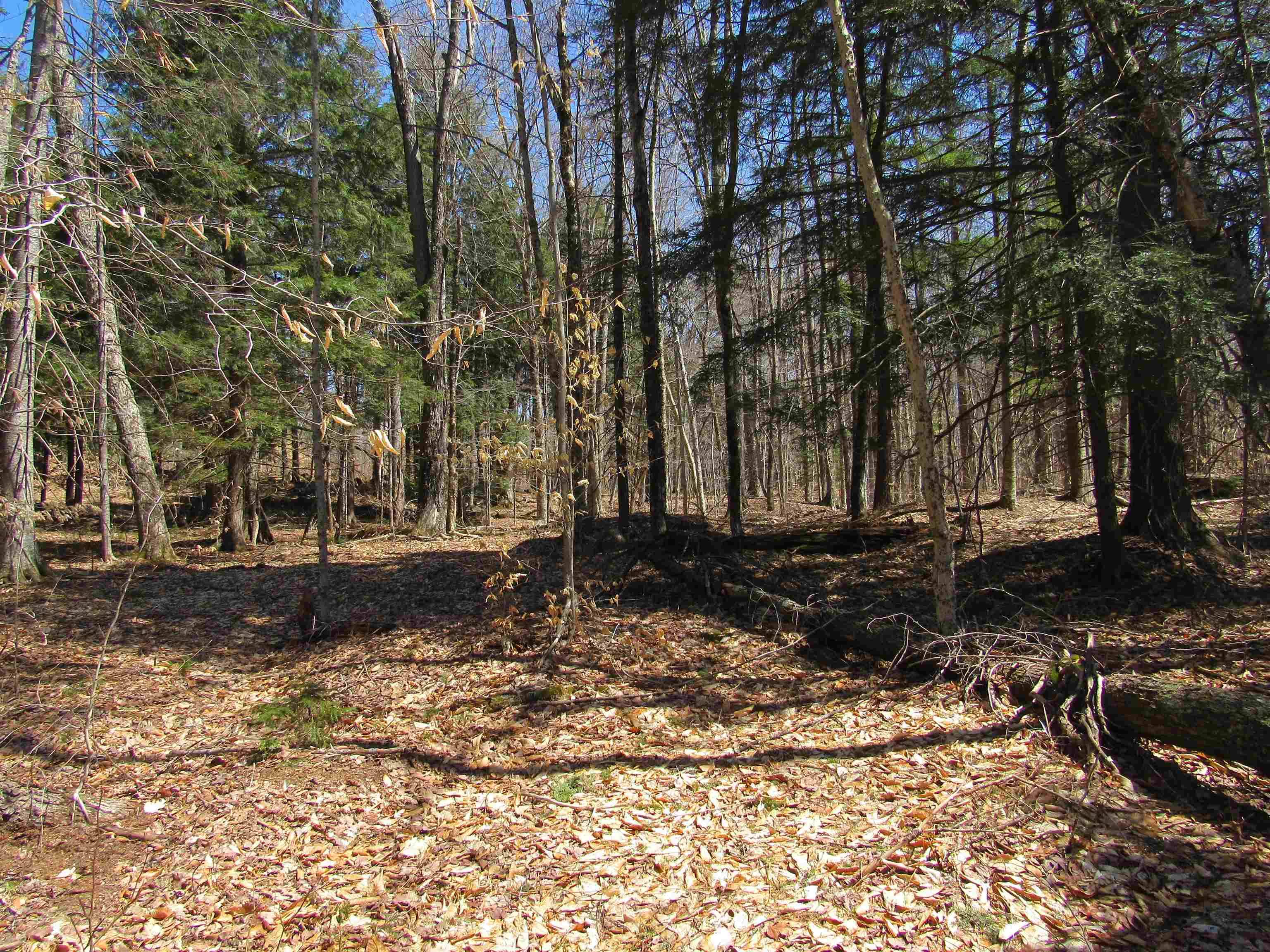 Winhall, VT 05340,0- Stratton View RD #11.22
