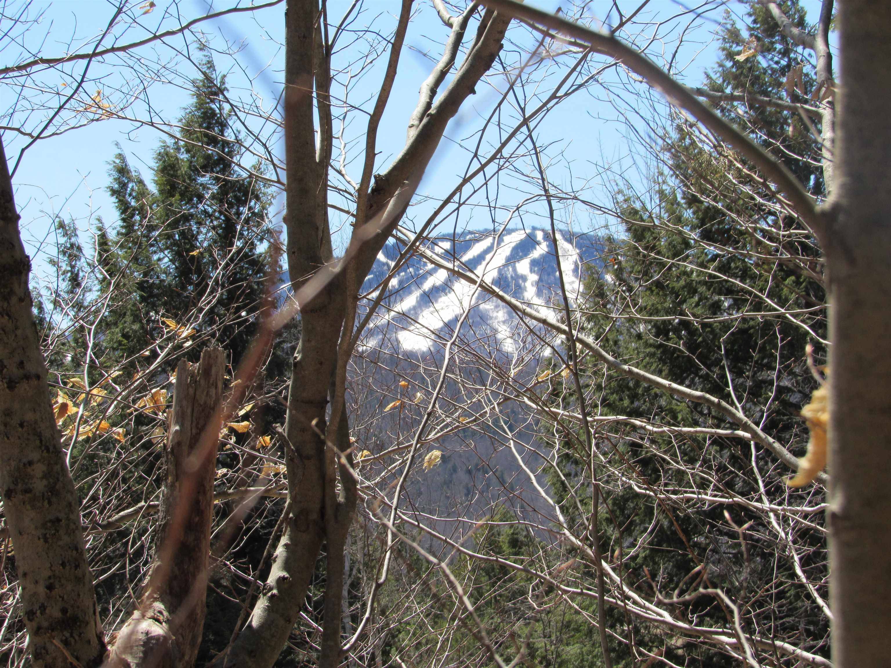 Winhall, VT 05340,0- Stratton View RD #11.22
