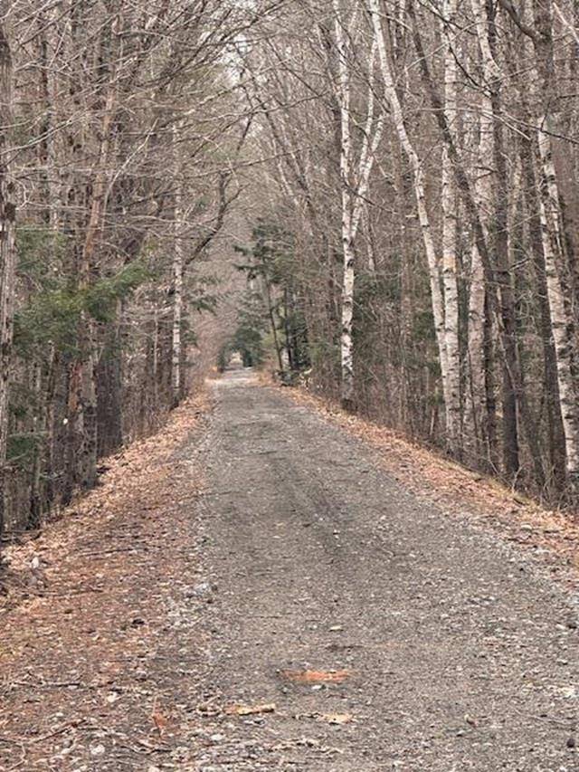 Wentworth, NH 03282,East Side RD